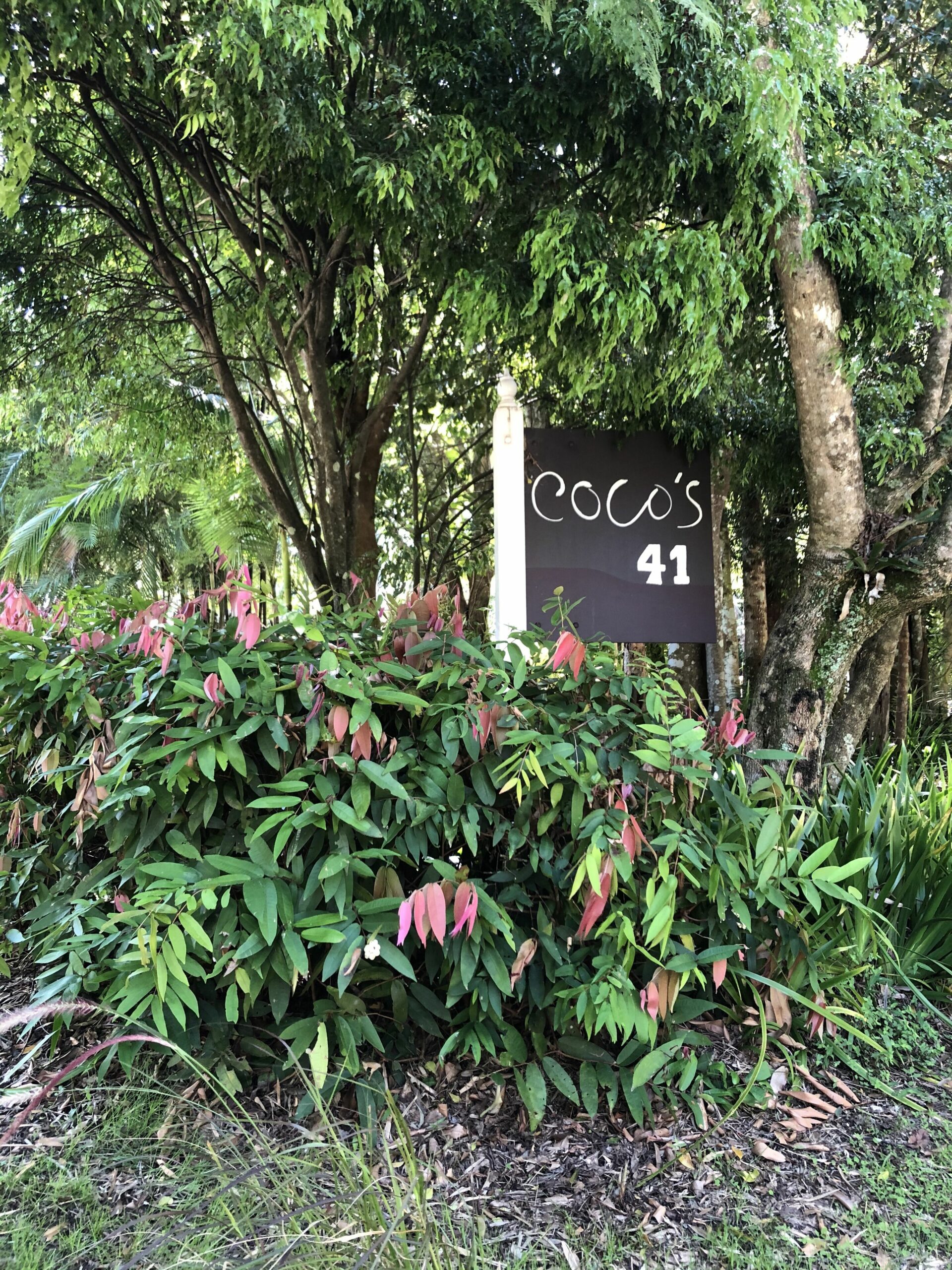 Coco's Cottage in the Byron Bay Hinterland ~ Refresh ~ Relax ~ Rejuvenate