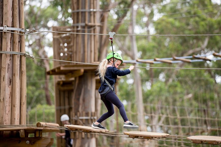 Short Circuit Ropes Course in Lorne