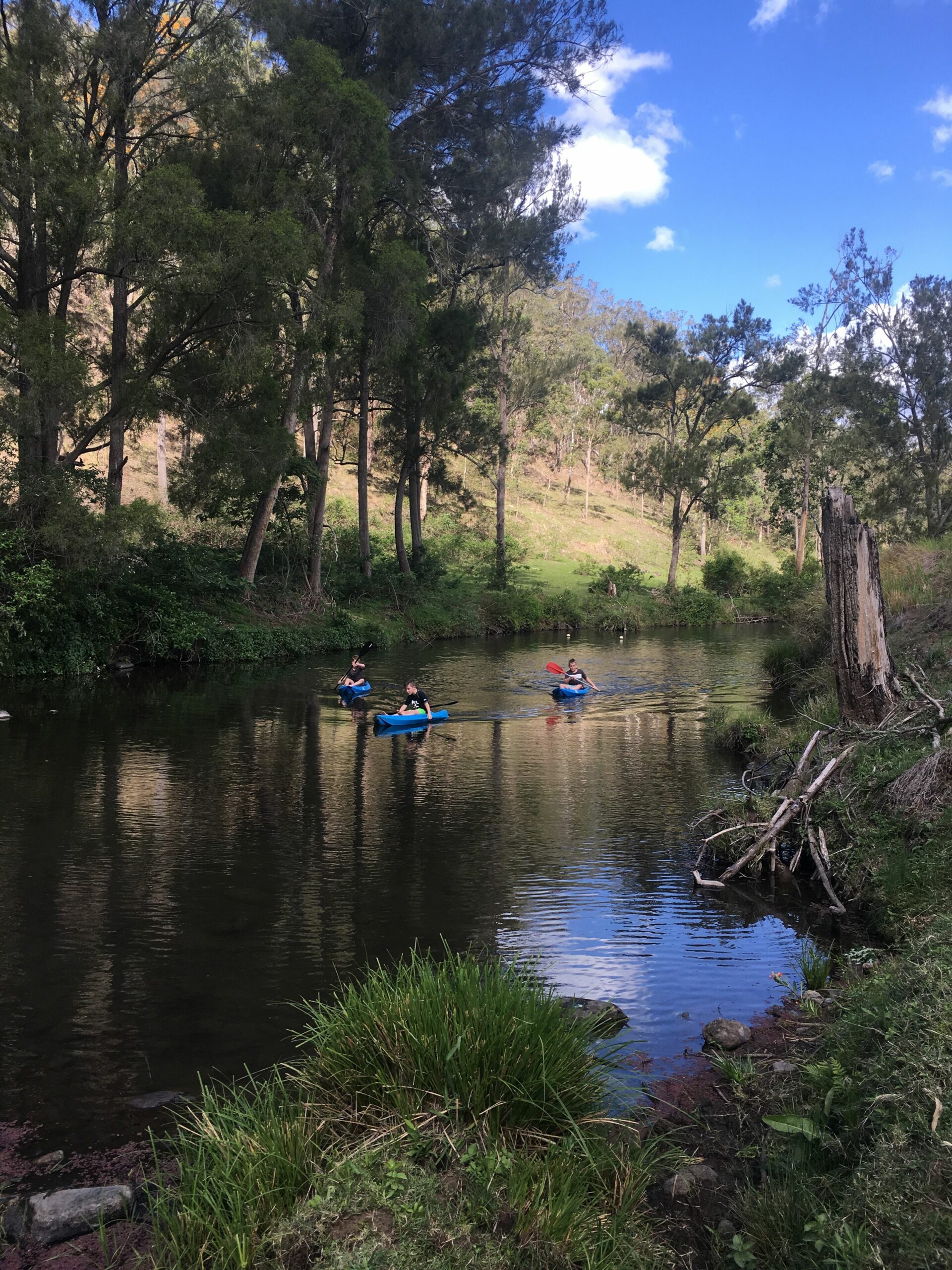 Beaumont High Country Homestead - Peaceful Getaway on a Working Cattle Property