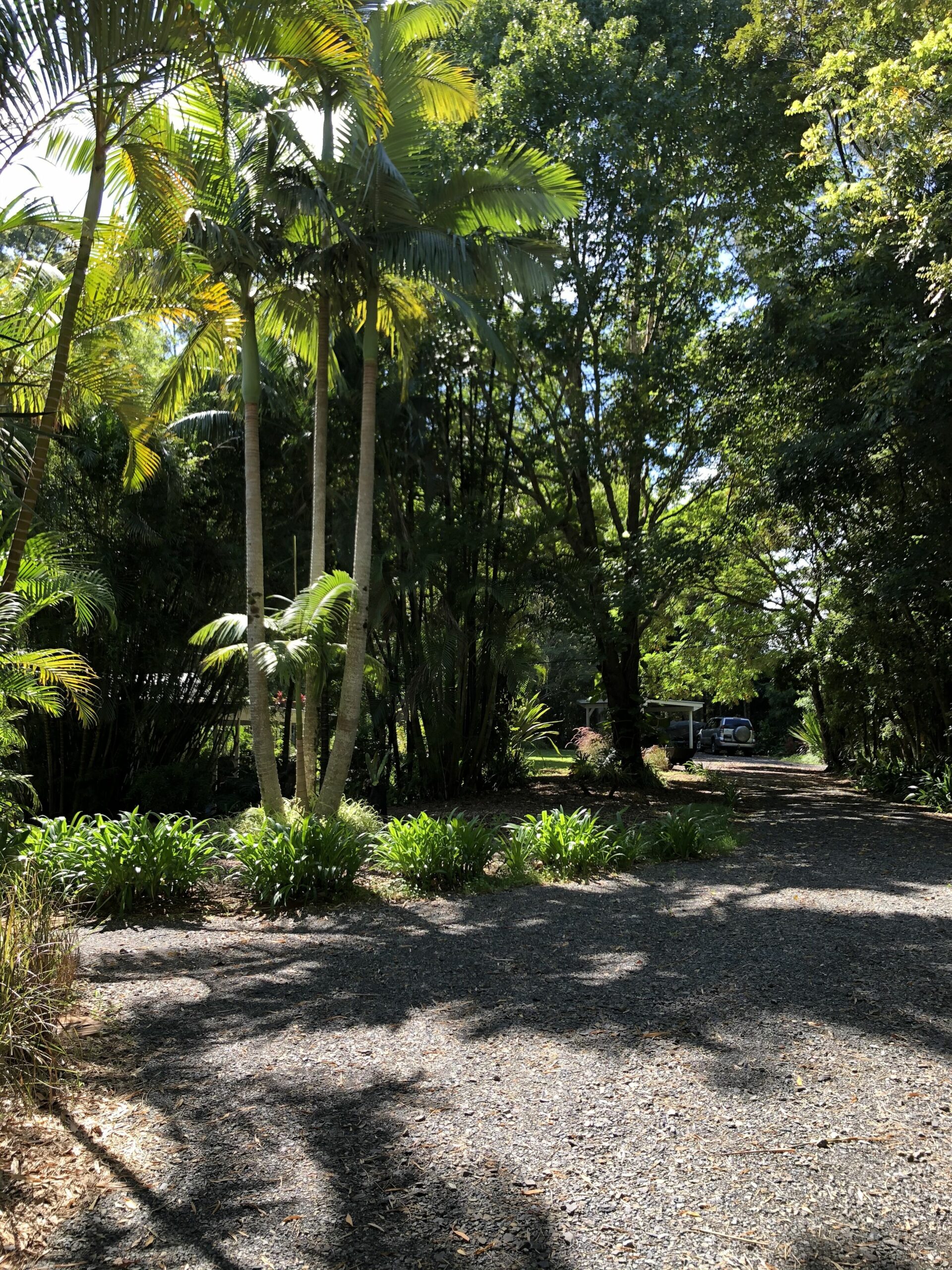 Coco's Cottage in the Byron Bay Hinterland ~ Refresh ~ Relax ~ Rejuvenate