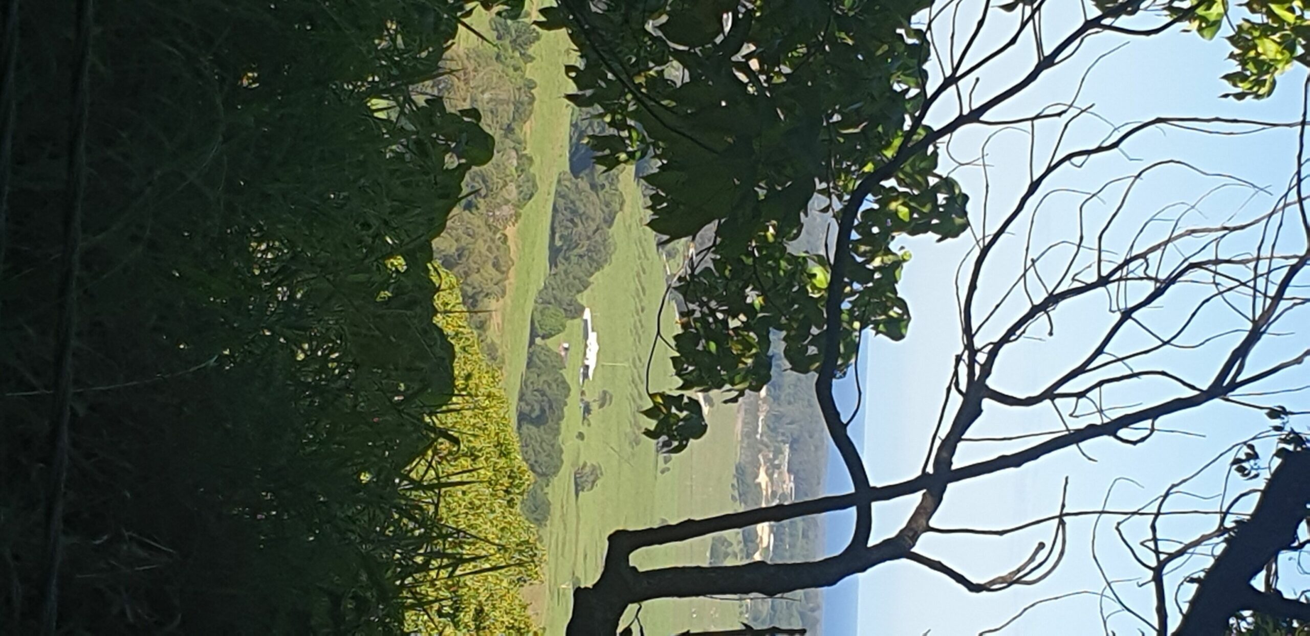 Byron Bay Hinterland-Teak Tree Farm