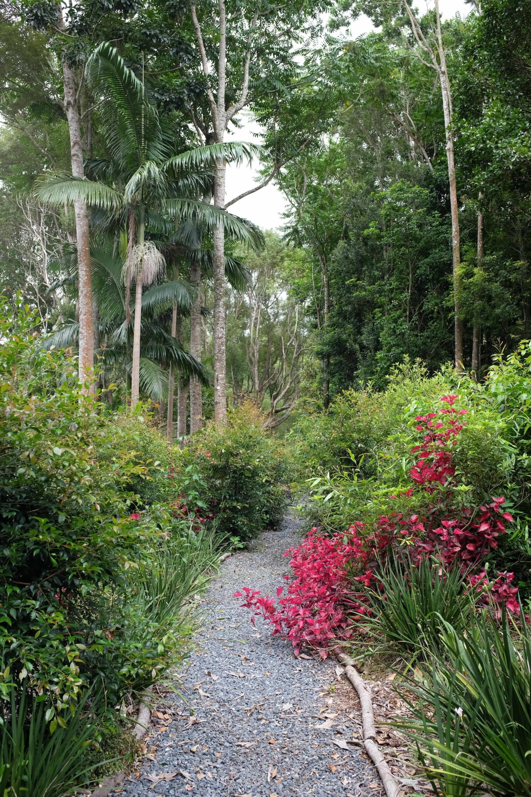 Tranquil Rainforest Escape, Close to Heritage Village of Bangalow