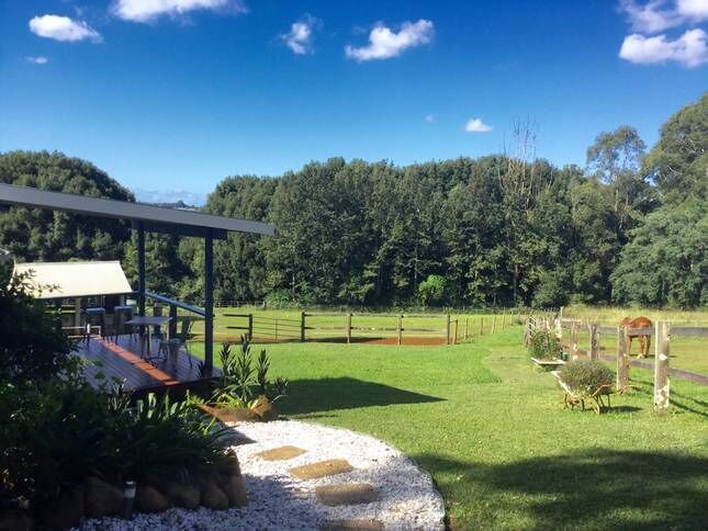 Songbird. Federal Byron Hinterland . Perfect place to recharge !