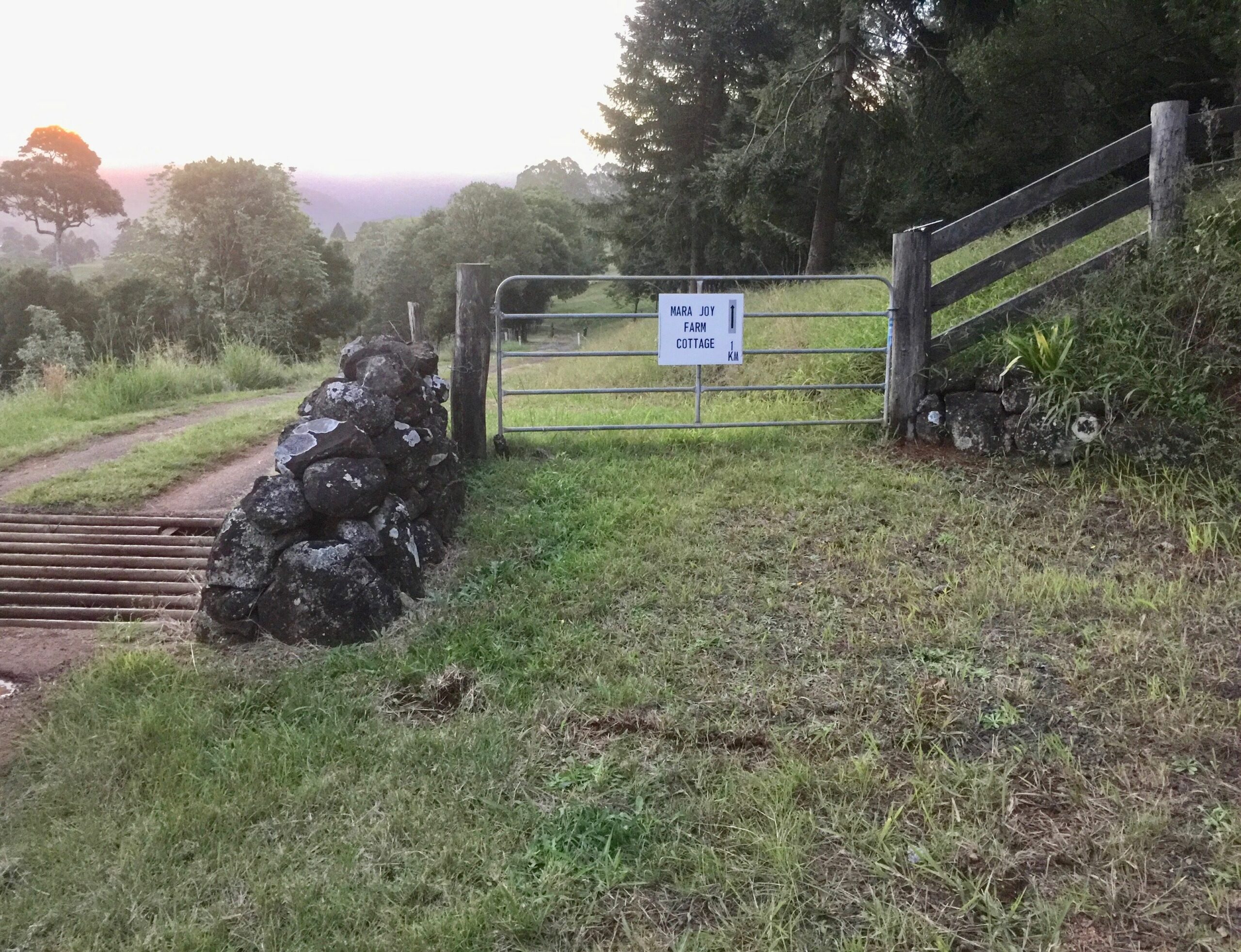 Byron Hinterland Farm Cottage on Cattle property