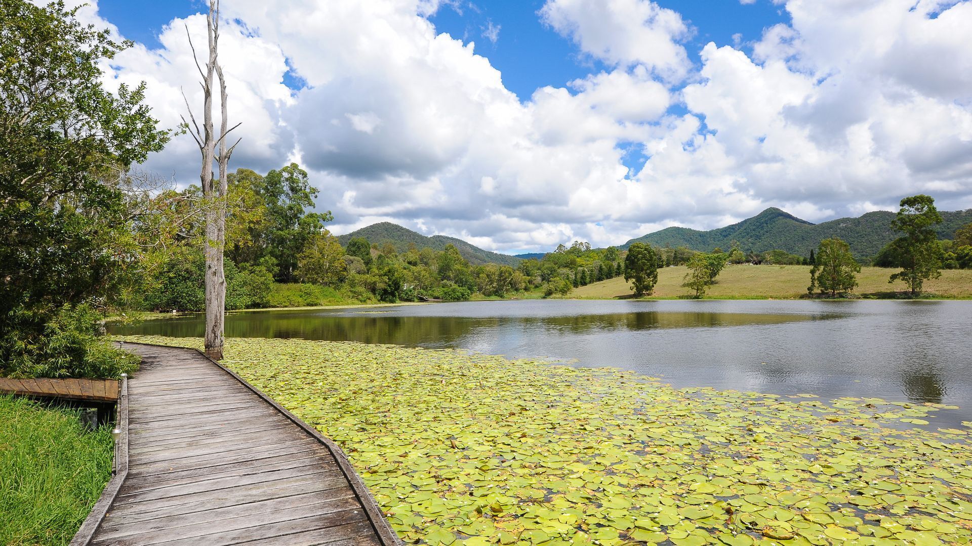 Samford Lakes - Spillway Cottage