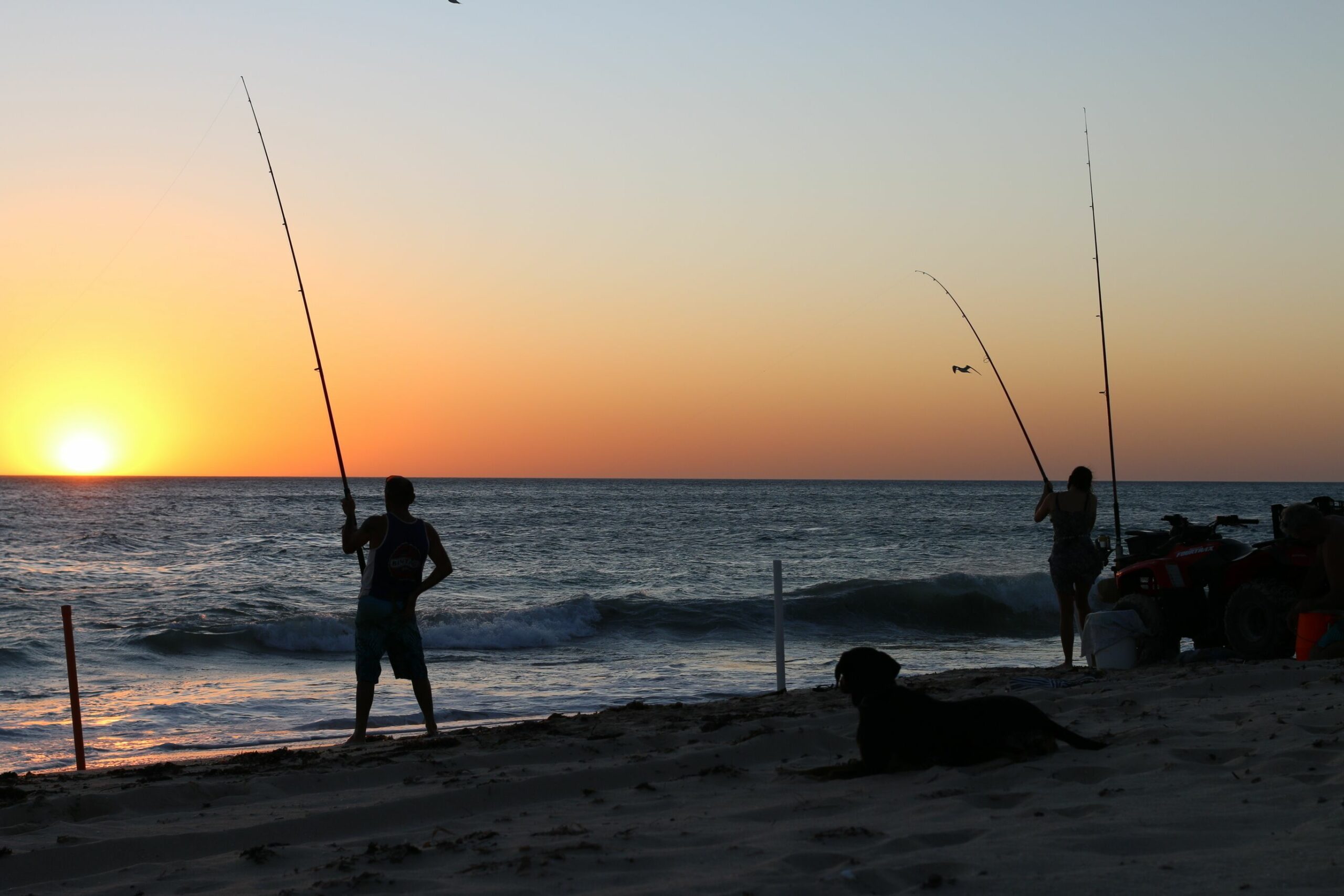 Yanchep Beach Bungalow - Oceanfront - Pet Friendly