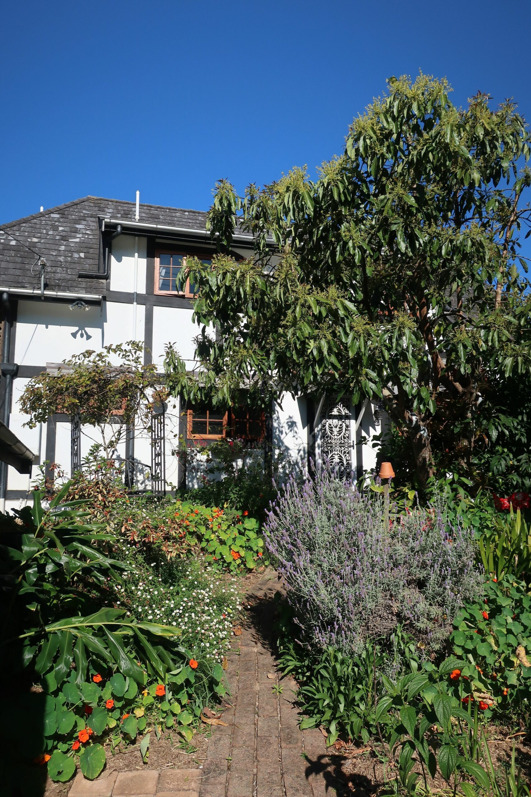 English Style Cottage 400m Walk From Gallery Walk!