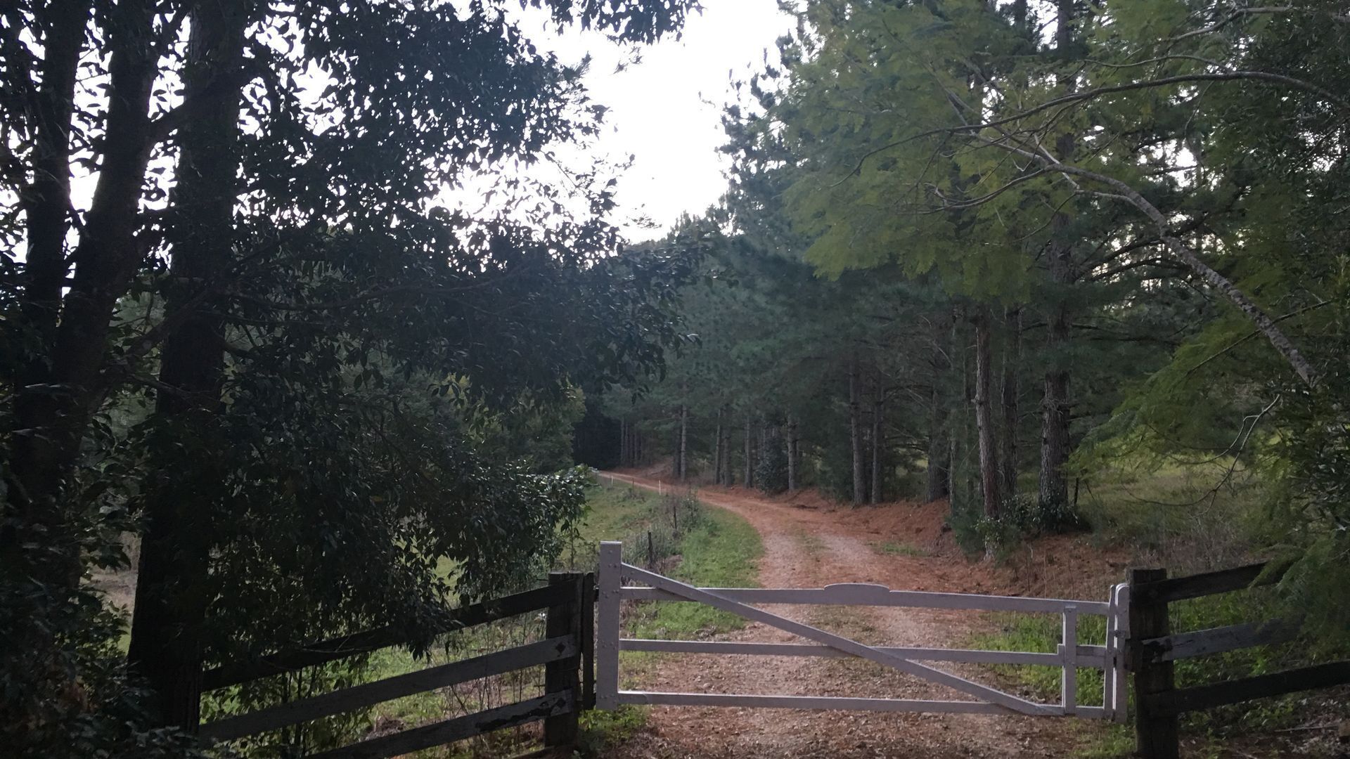 Valleydale Cottage - Byron Hinterland Escape