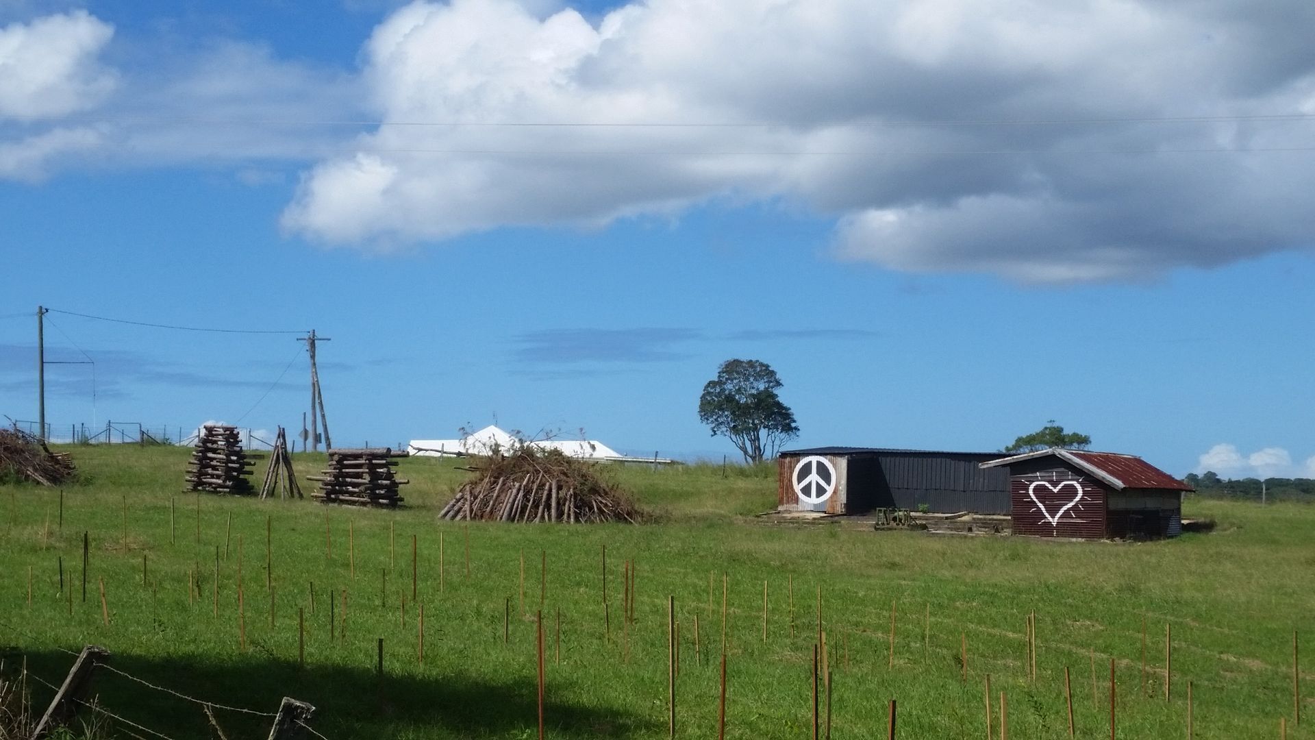 Byron Bay Hinterland-Teak Tree Farm