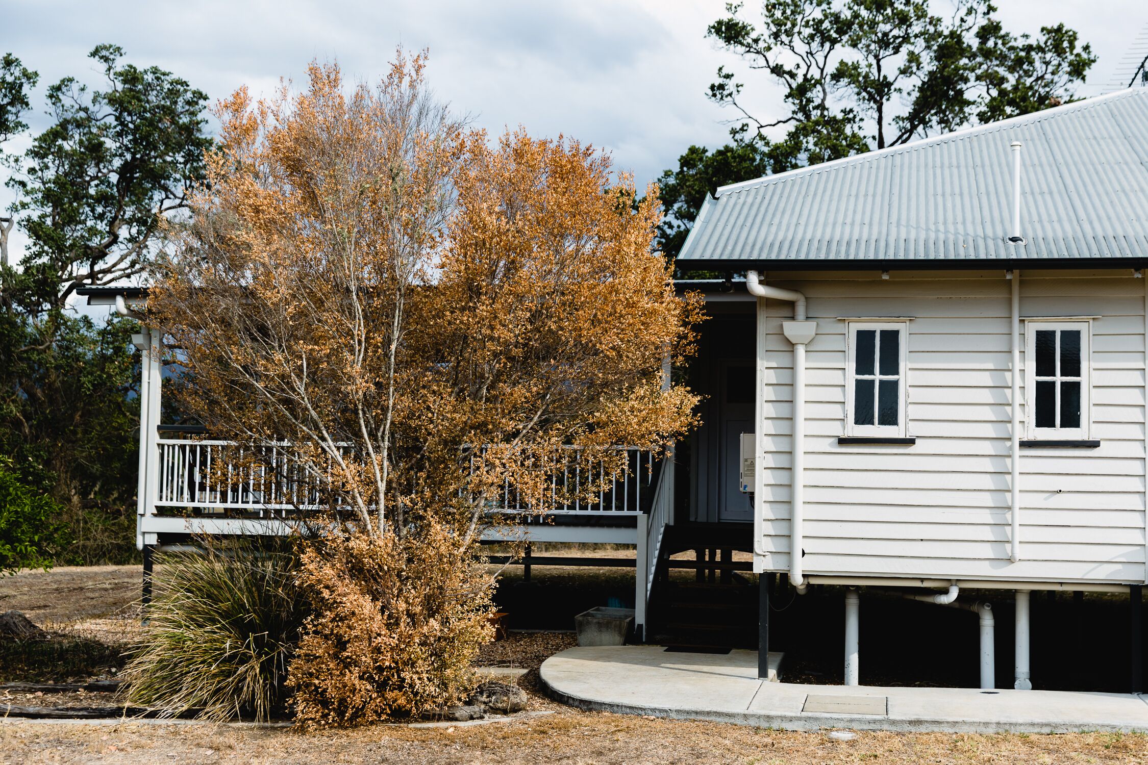Eighteen Mile Cottage - river access with breathtaking views!