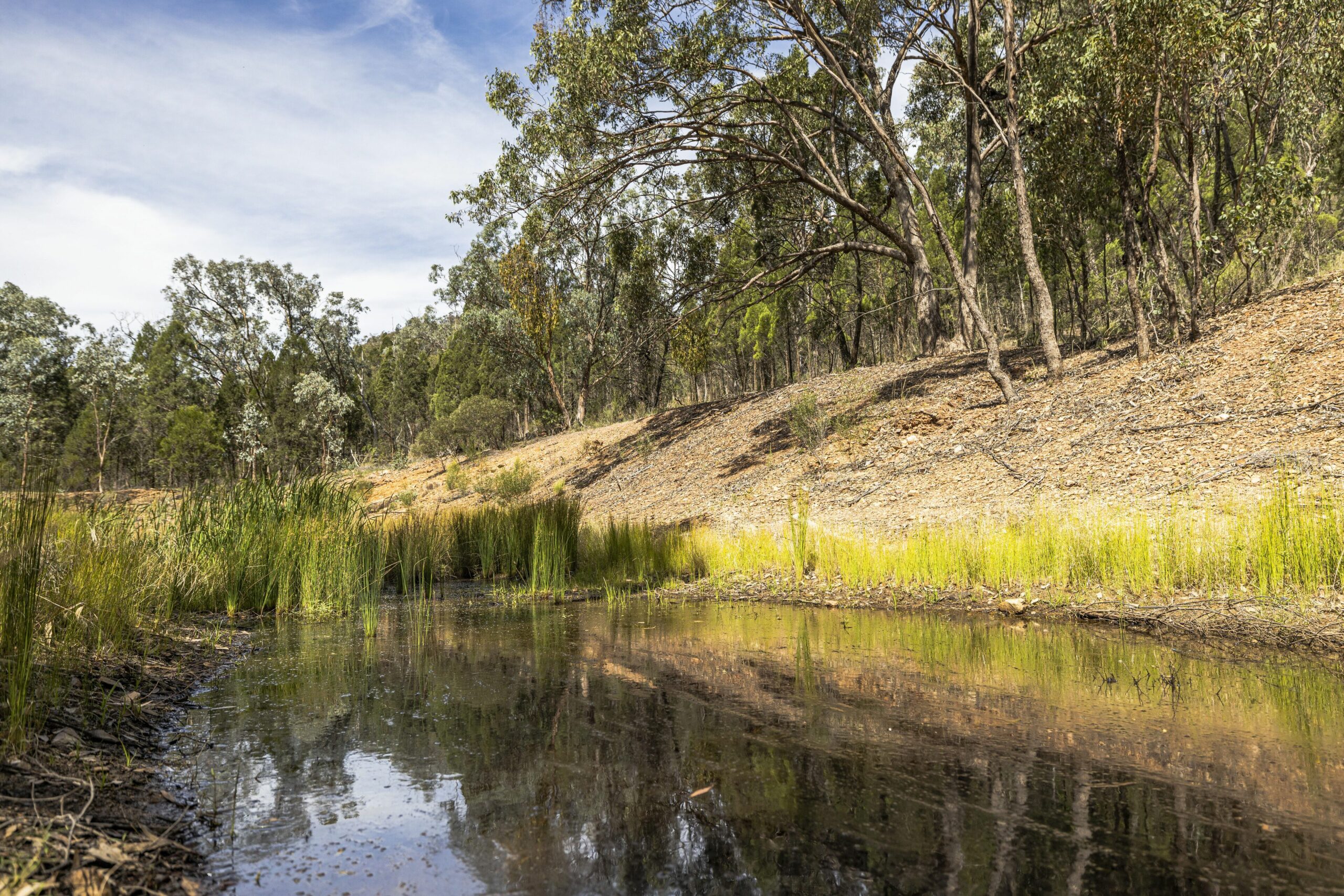 Green Tree Cottage by Your Innkeeper Mudgee