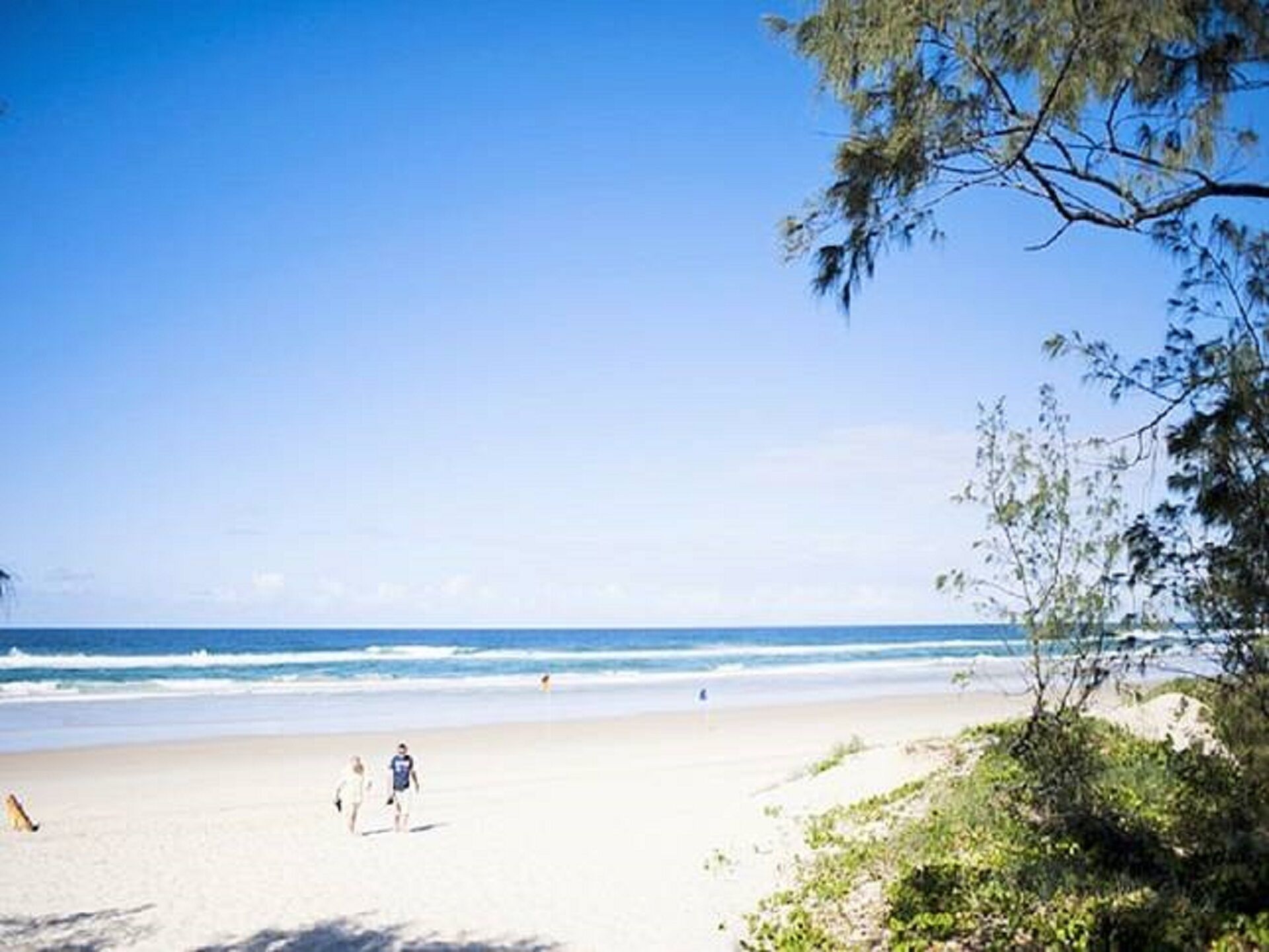 5 Star Luxury @ Tweed Coast - Apartment in Peppers Resort & Spa