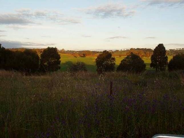 HILLVIEW HOMESTEAD MUDGEE