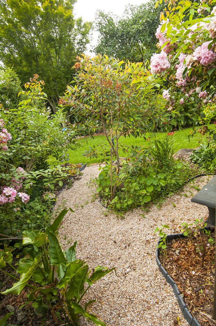 Studio in Prize Winning Garden on the Edge of The Great Dividing Range