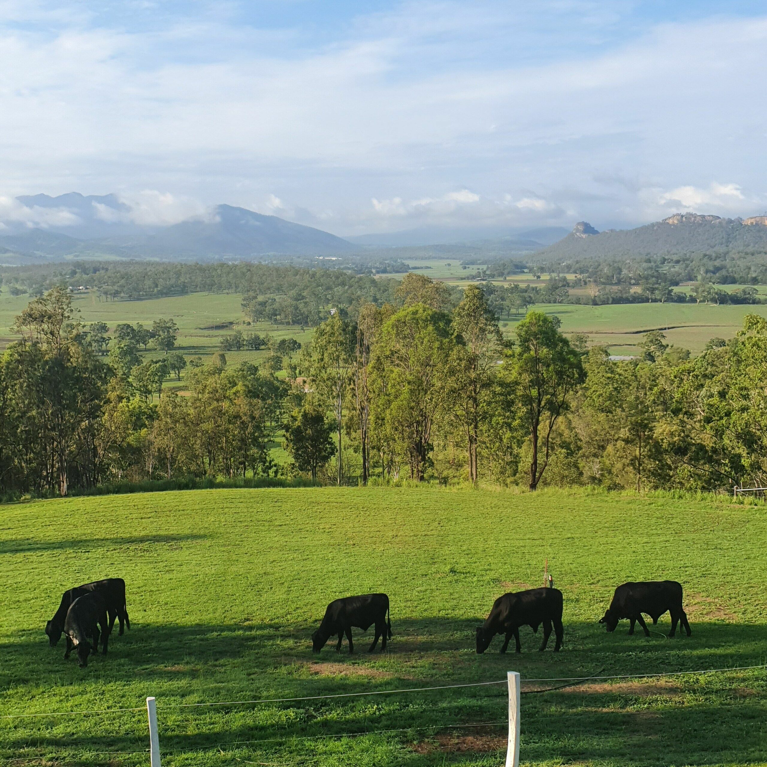 VANBERY COTTAGE HOST FARM