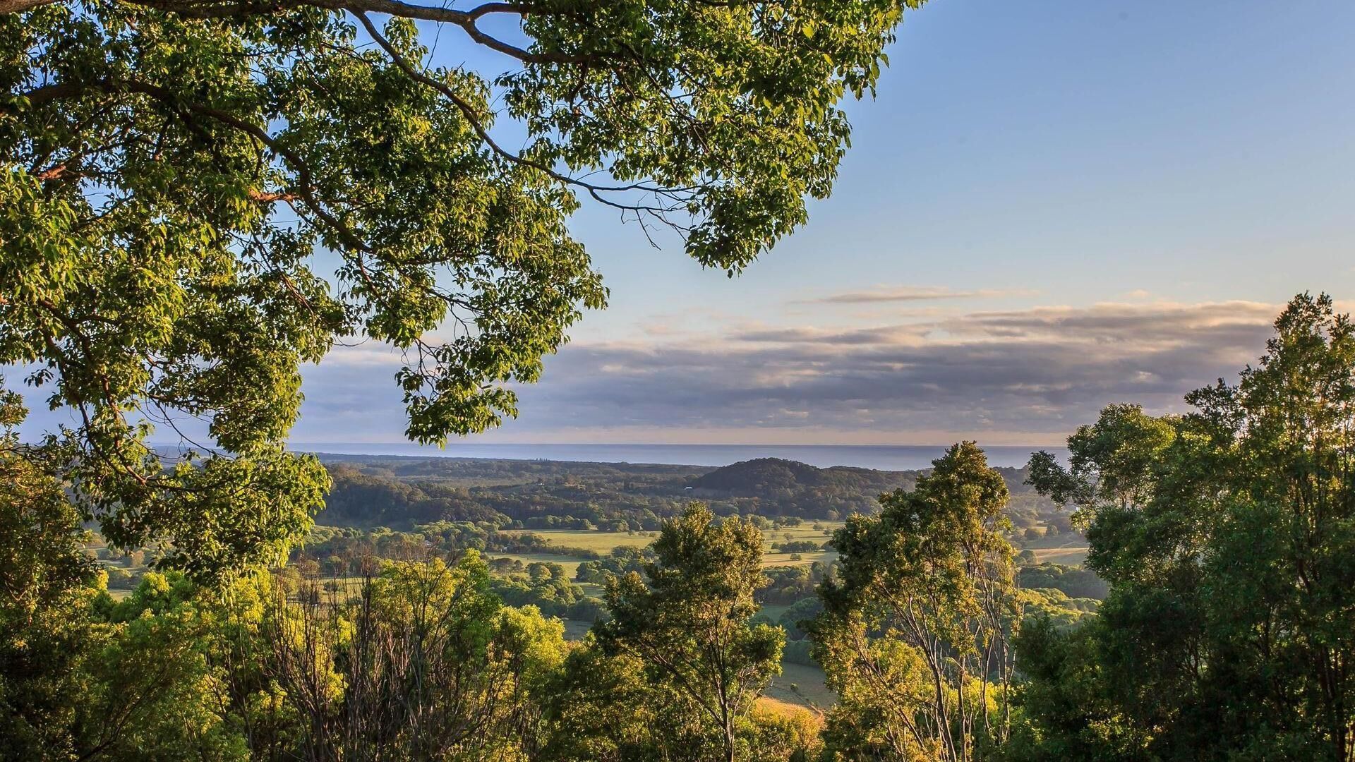 Hinterland Heaven - Forest Retreat w/ Coastal View