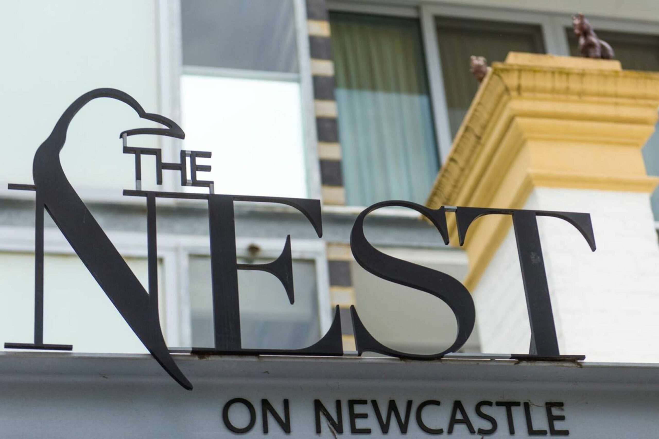 The Nest - Modern Room In Northbridge With Roof Terrace