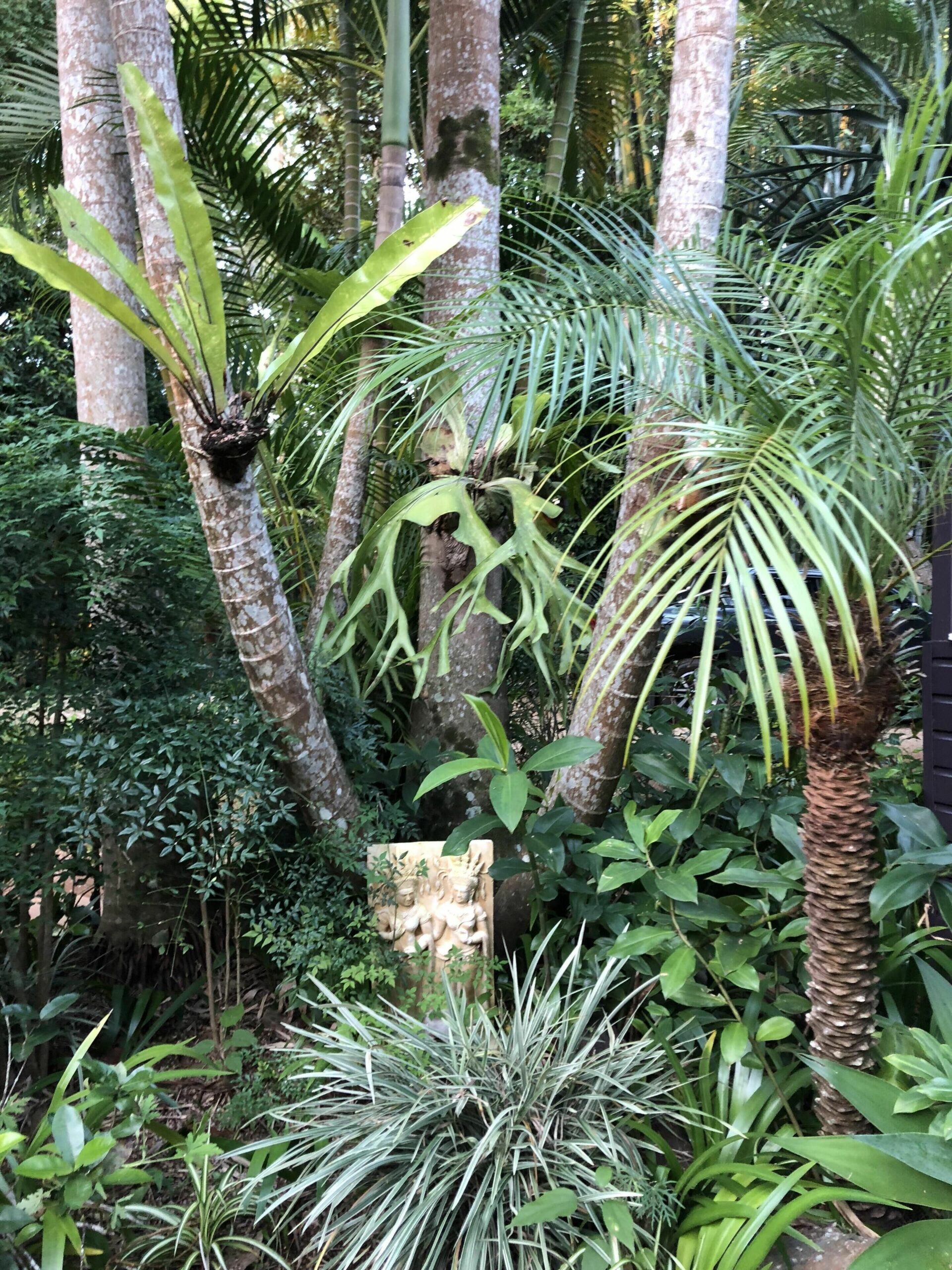 Coco's Cottage in the Byron Bay Hinterland ~ Refresh ~ Relax ~ Rejuvenate