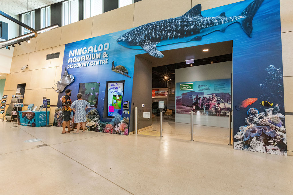 Ningaloo Aquarium & Discovery Centre