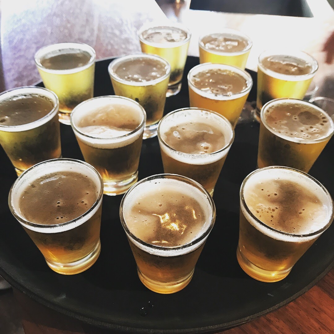 Brisbane Brewery Tour