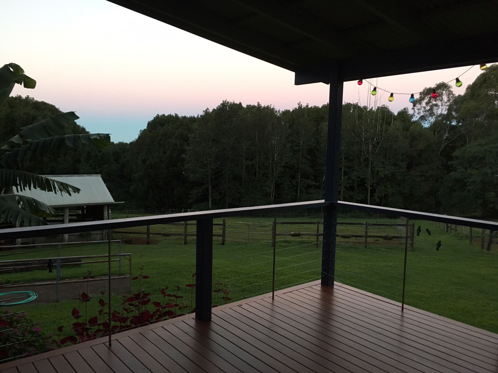 Songbird. Federal Byron Hinterland . Perfect place to recharge !