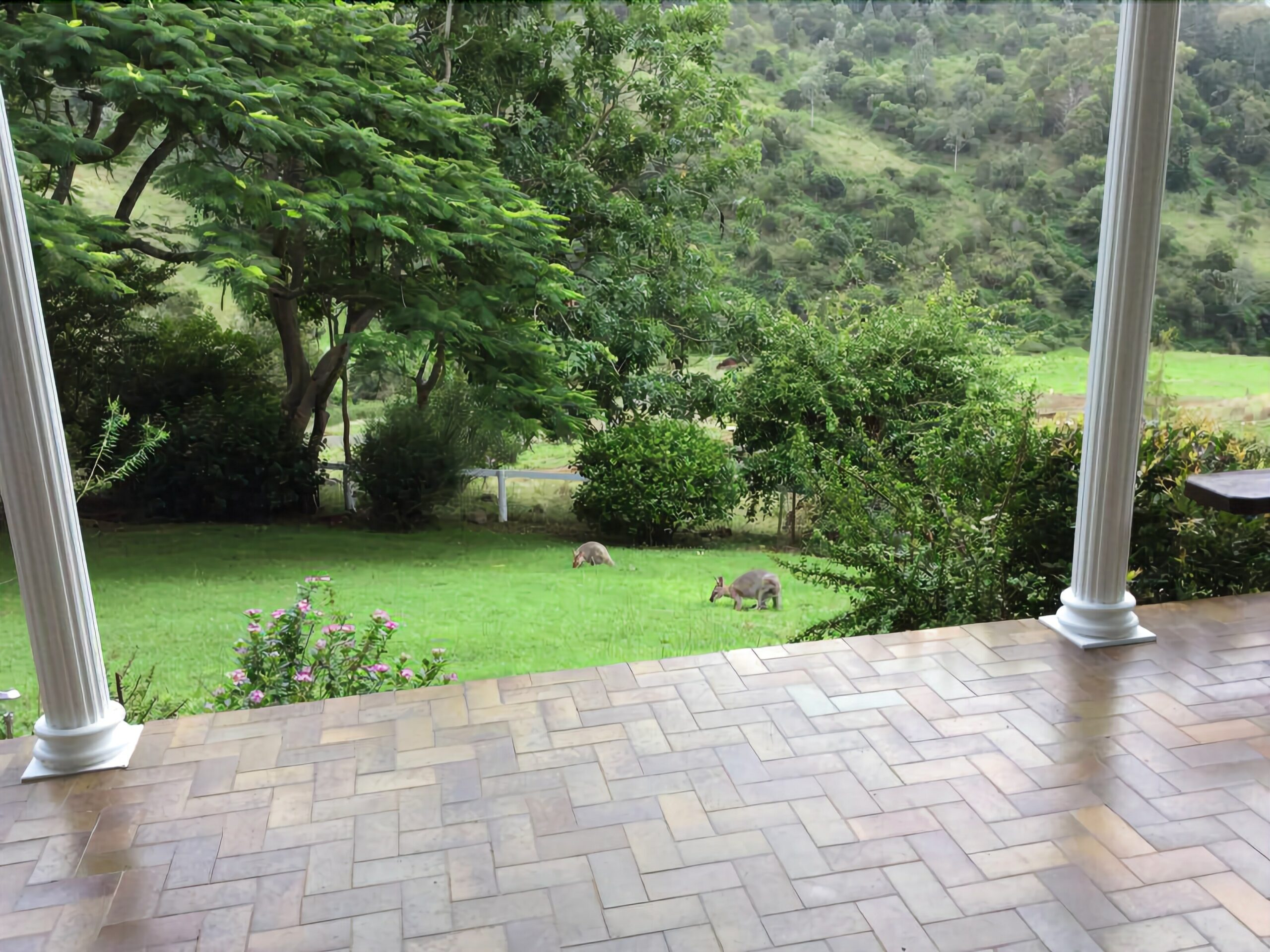 Beaumont High Country Homestead - Peaceful Getaway on a Working Cattle Property