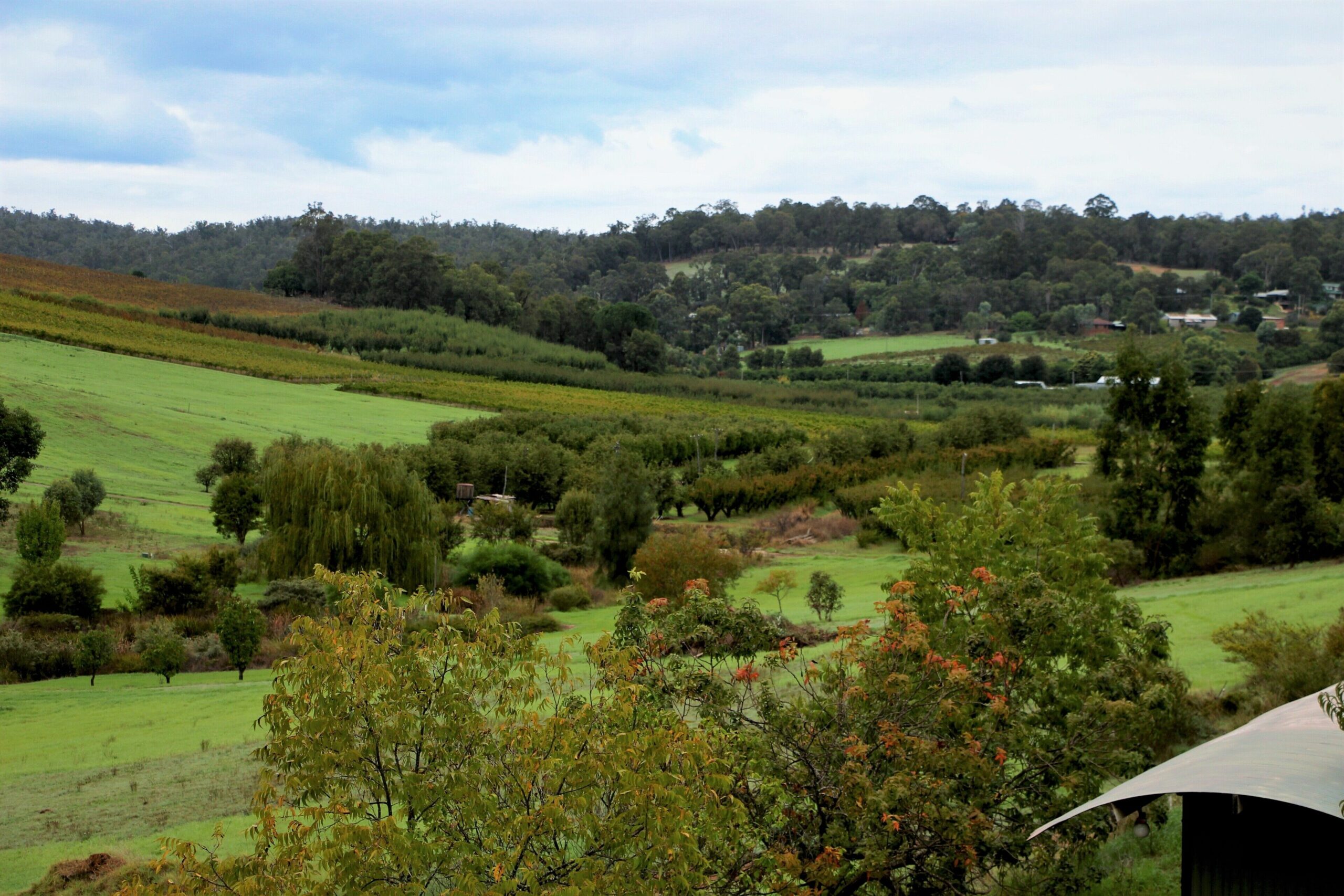 Bickley Valley Cottage