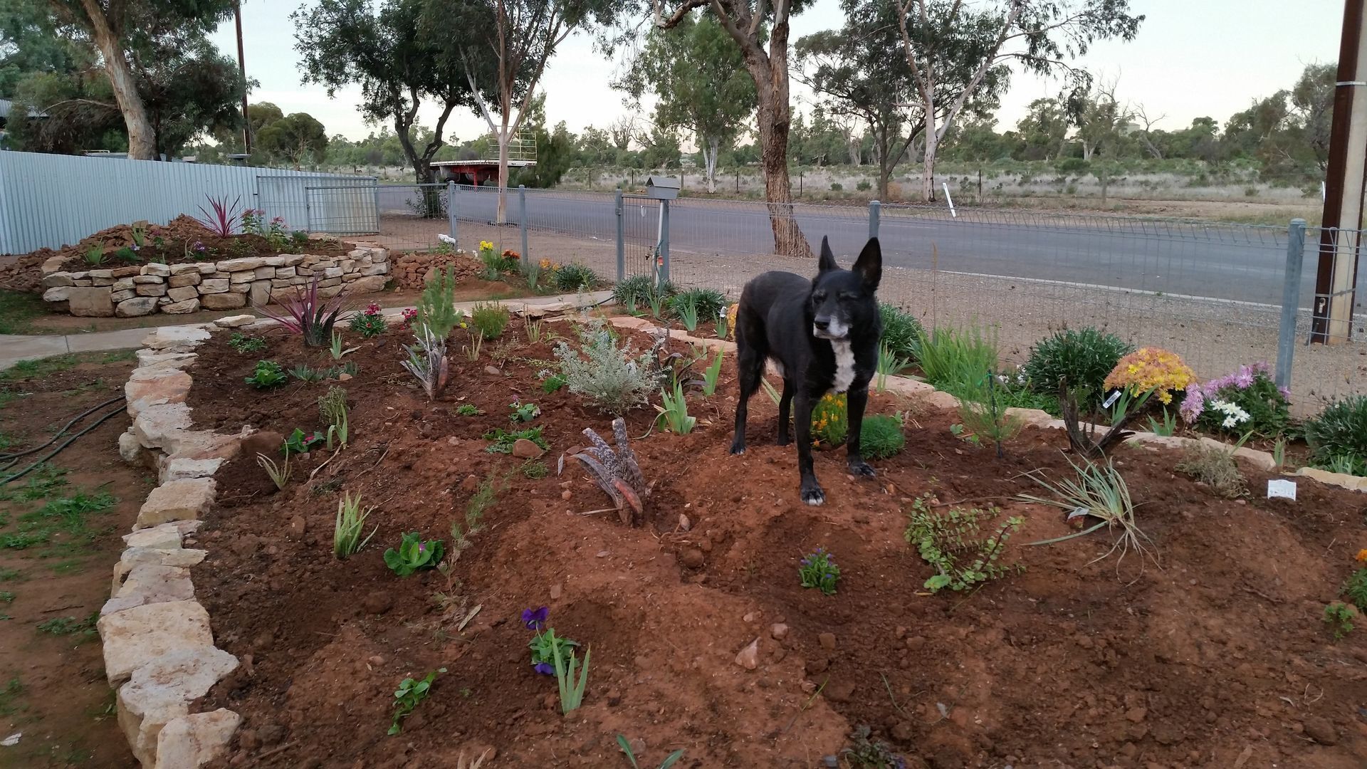 The Quorn-er House- Family and pet Friendly