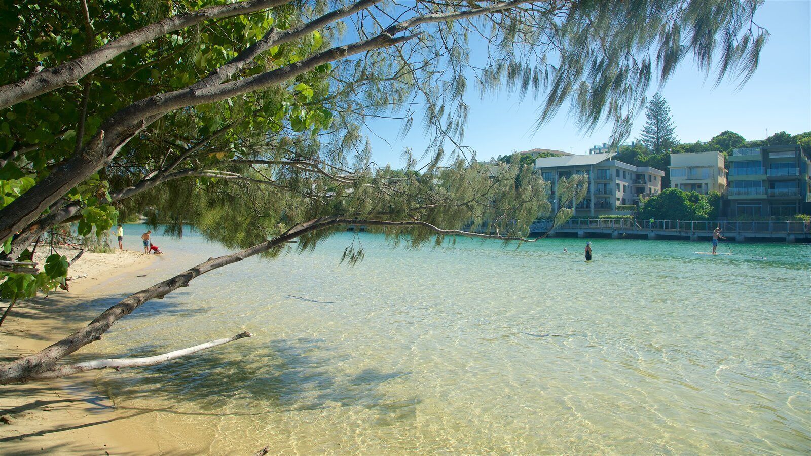 Cotton Beach - Beachfront Villa w/ Private Pool - Paradise Casuarina
