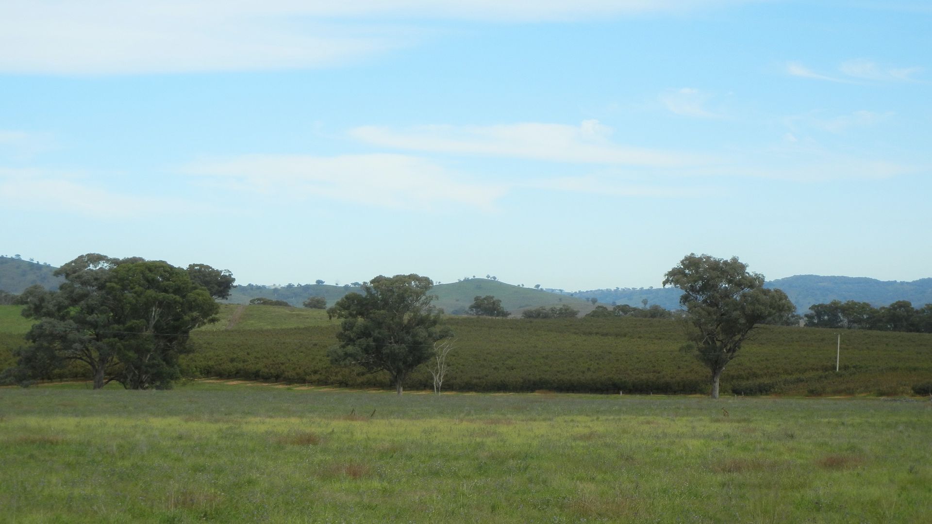 HILLVIEW HOMESTEAD MUDGEE