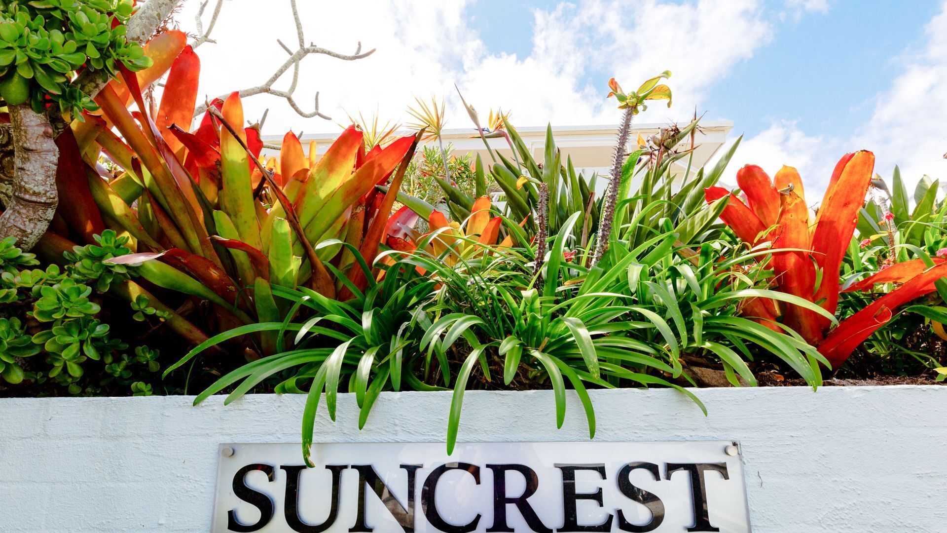 Suncrest Unit 2, Absolute Oceanfront, Yamba