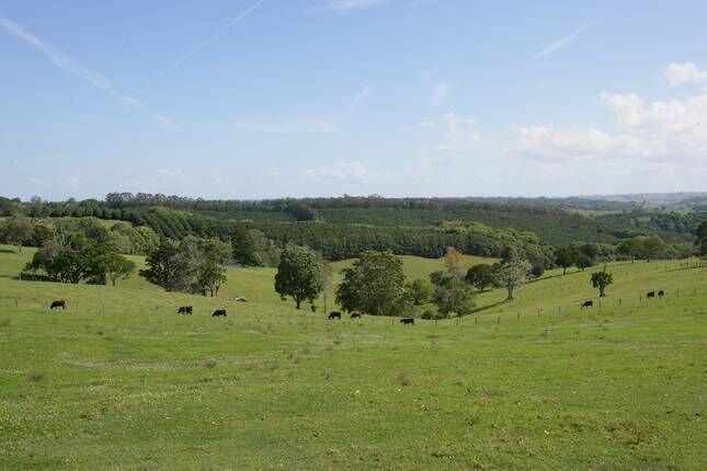 Nightcap Cottage - glorious view over farmland to hills