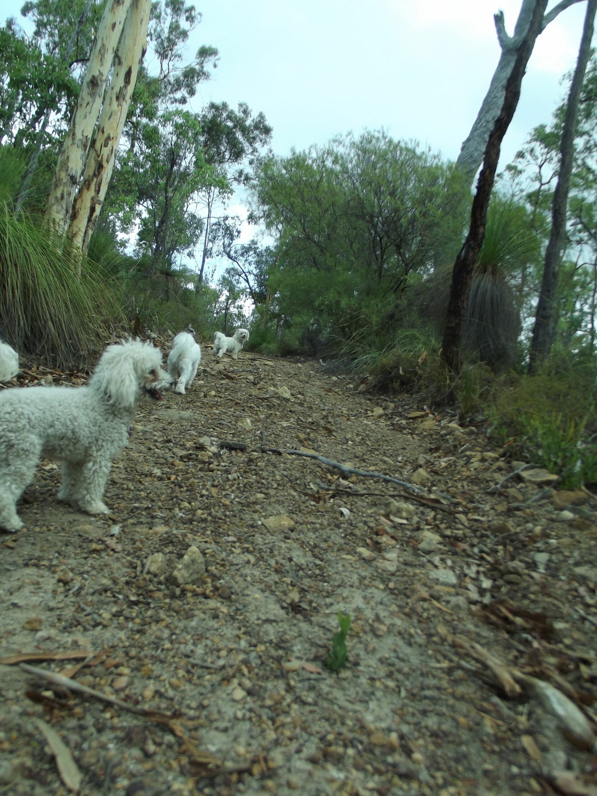 Escape in This dog Friendly Self-contained Luxurious 2 Storey Cottage