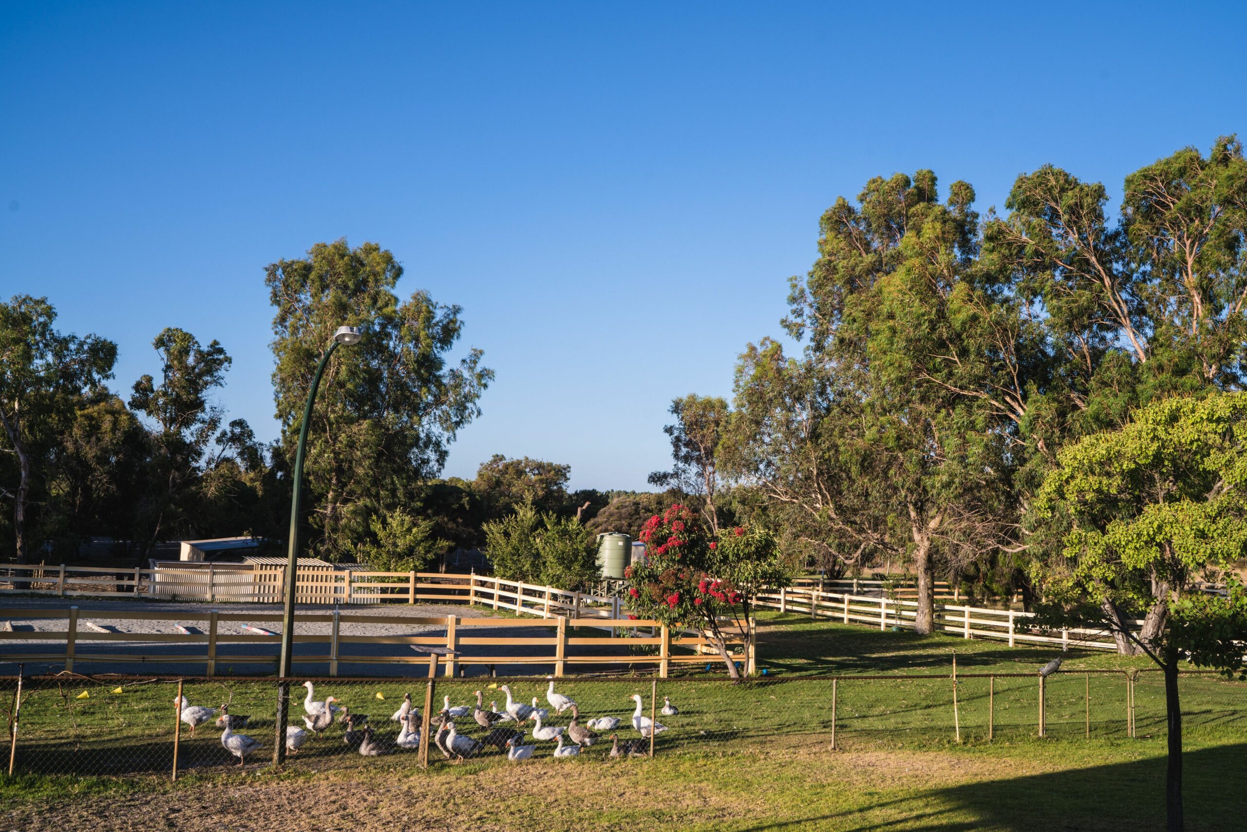 Harmony Acres Homestead set on 5 acres offers the best of both worlds