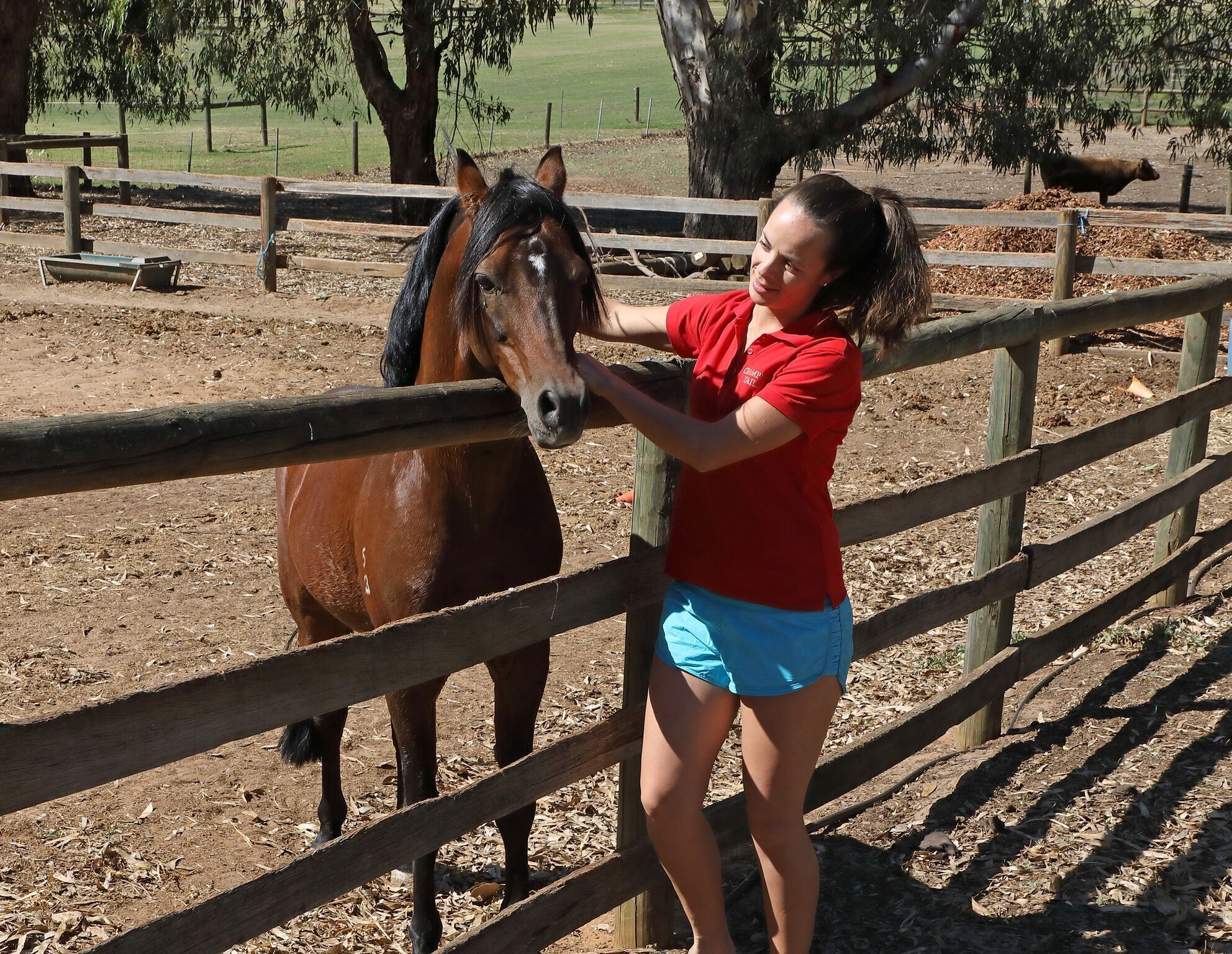 Friendly farm animals, beautiful cottage, amazing views. Settlers Rest Farmstay