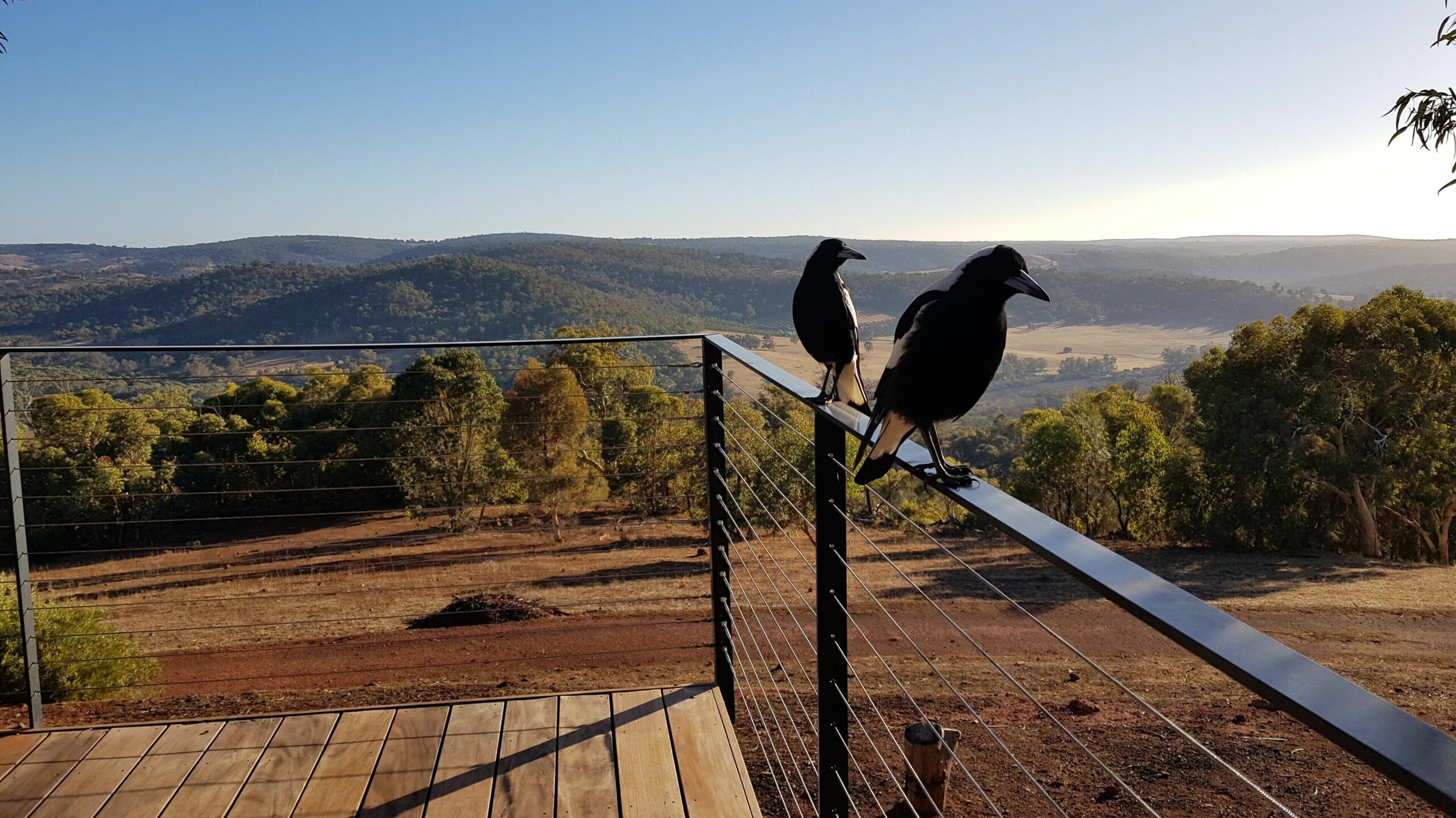 Chittering Heights - A Luxurious Romantic Tree House Retreat