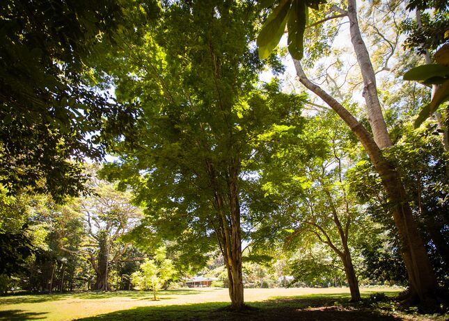 Stunning Balinese Inspired Cottage With Pool & Spa in The Byron Bay Hinterland