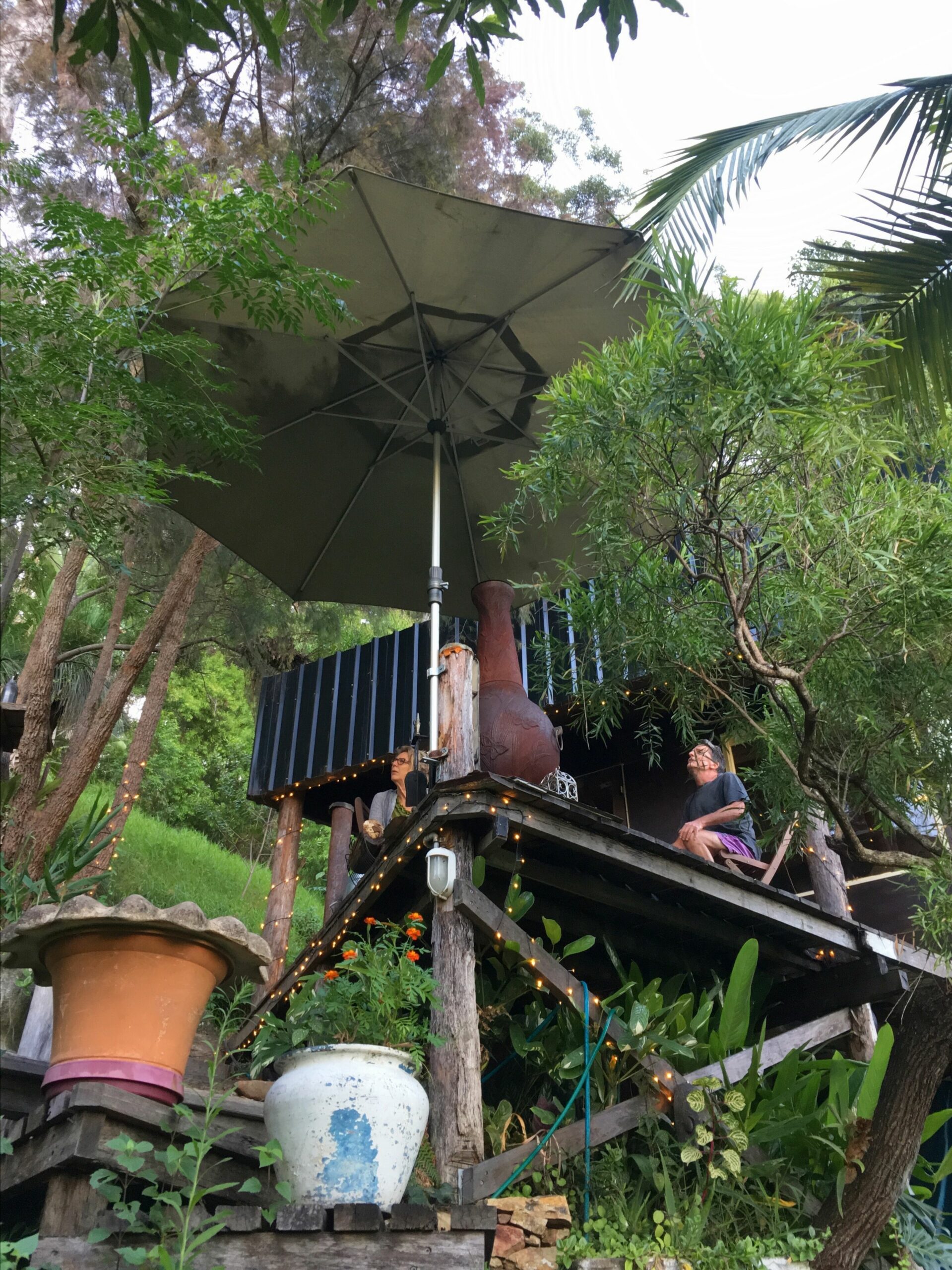 The Treepod-wake up to the Sunrise with views over valley to the Ocean