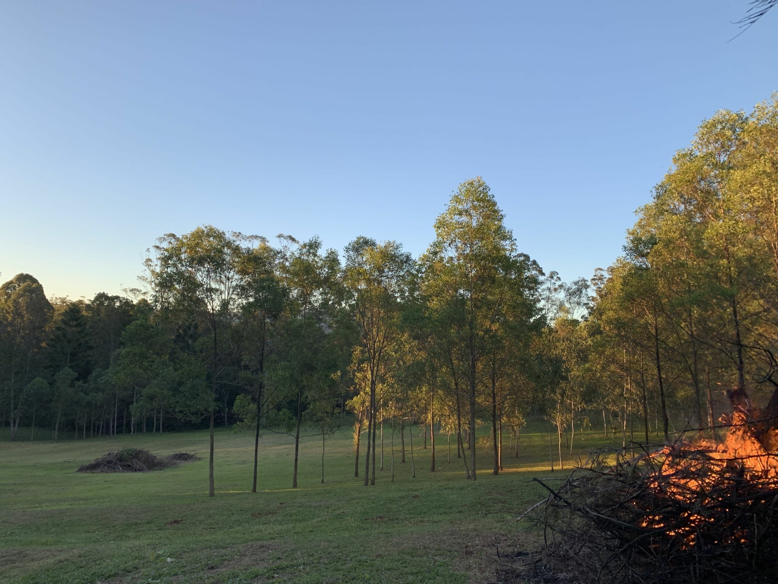 Nightcap Park, Beautiful Byron Bay Hinterland