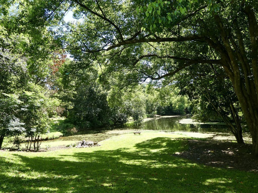 Relaxing Retreat by the River