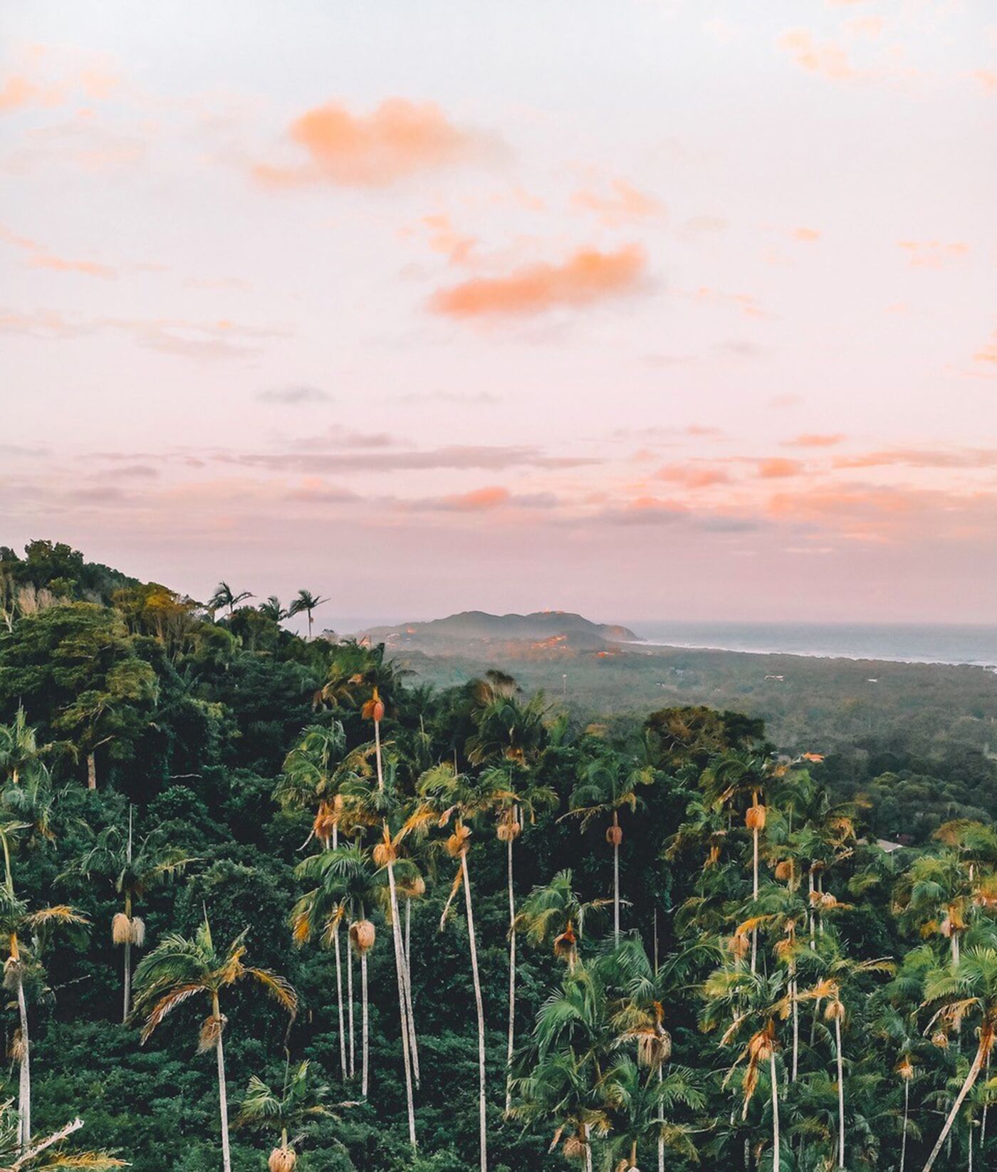 THE Cape at Wategos - Lodging in Paradise