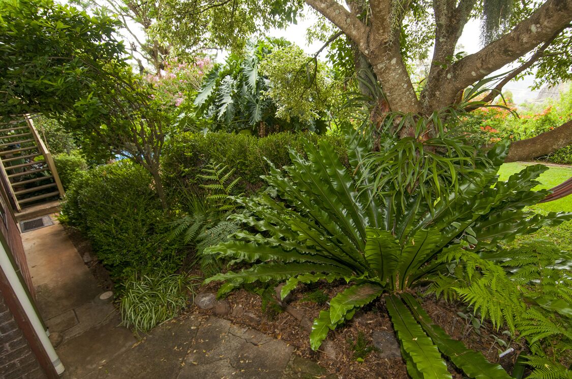 Studio in Prize Winning Garden on the Edge of The Great Dividing Range