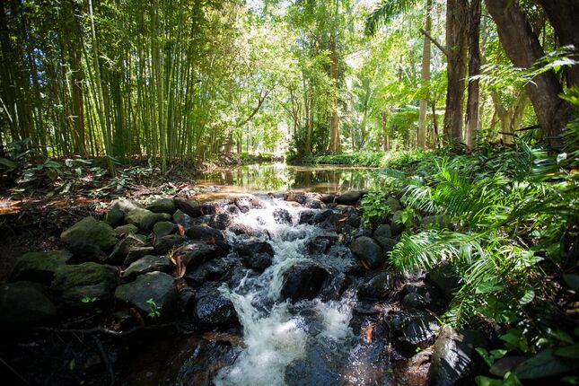 Stunning Balinese Inspired Cottage With Pool & Spa in The Byron Bay Hinterland