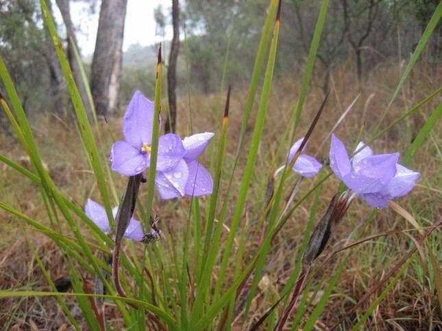 Mt Tully Cottage and Nature Refuge