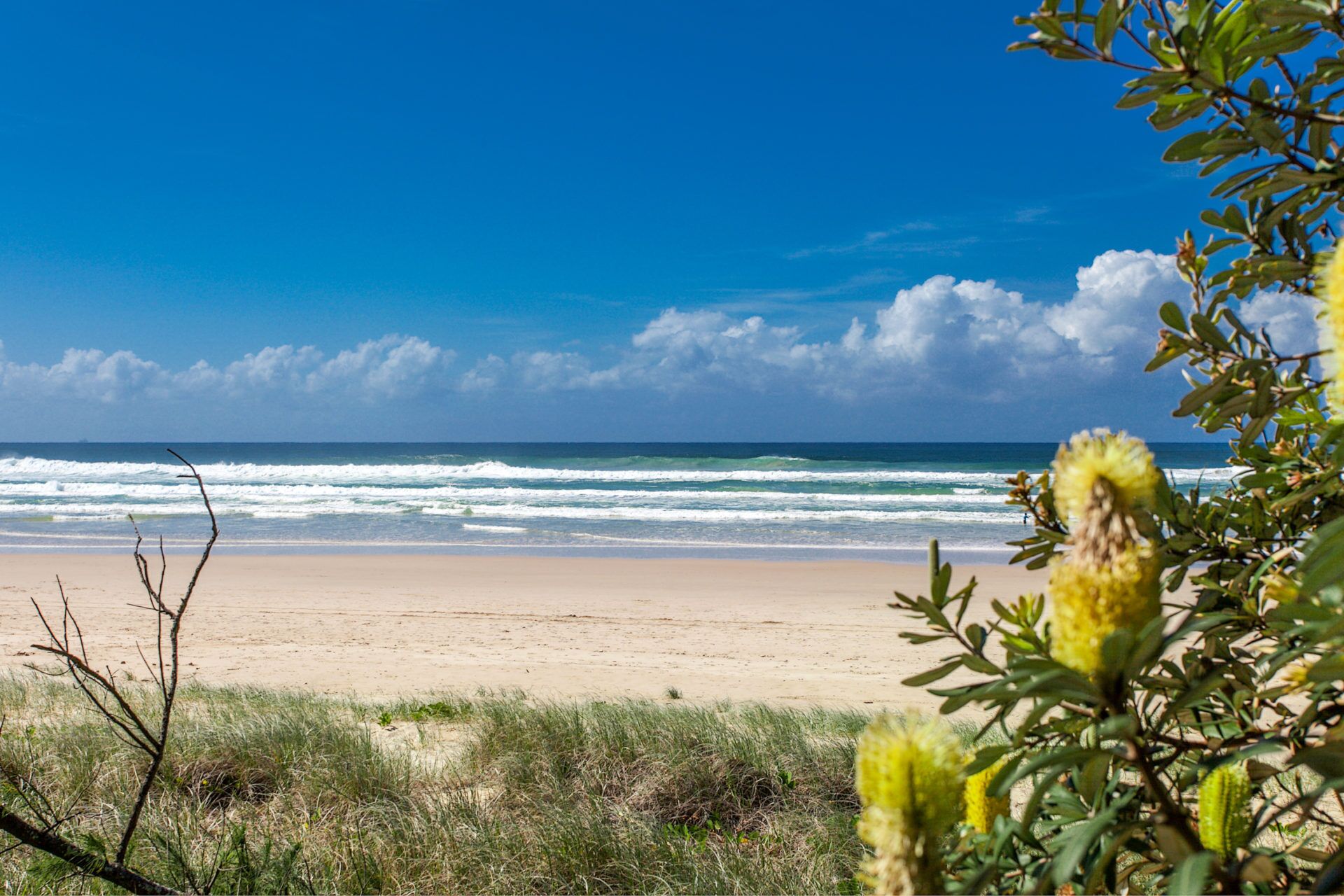 A Sweet Escape - Beachfront Tranquility