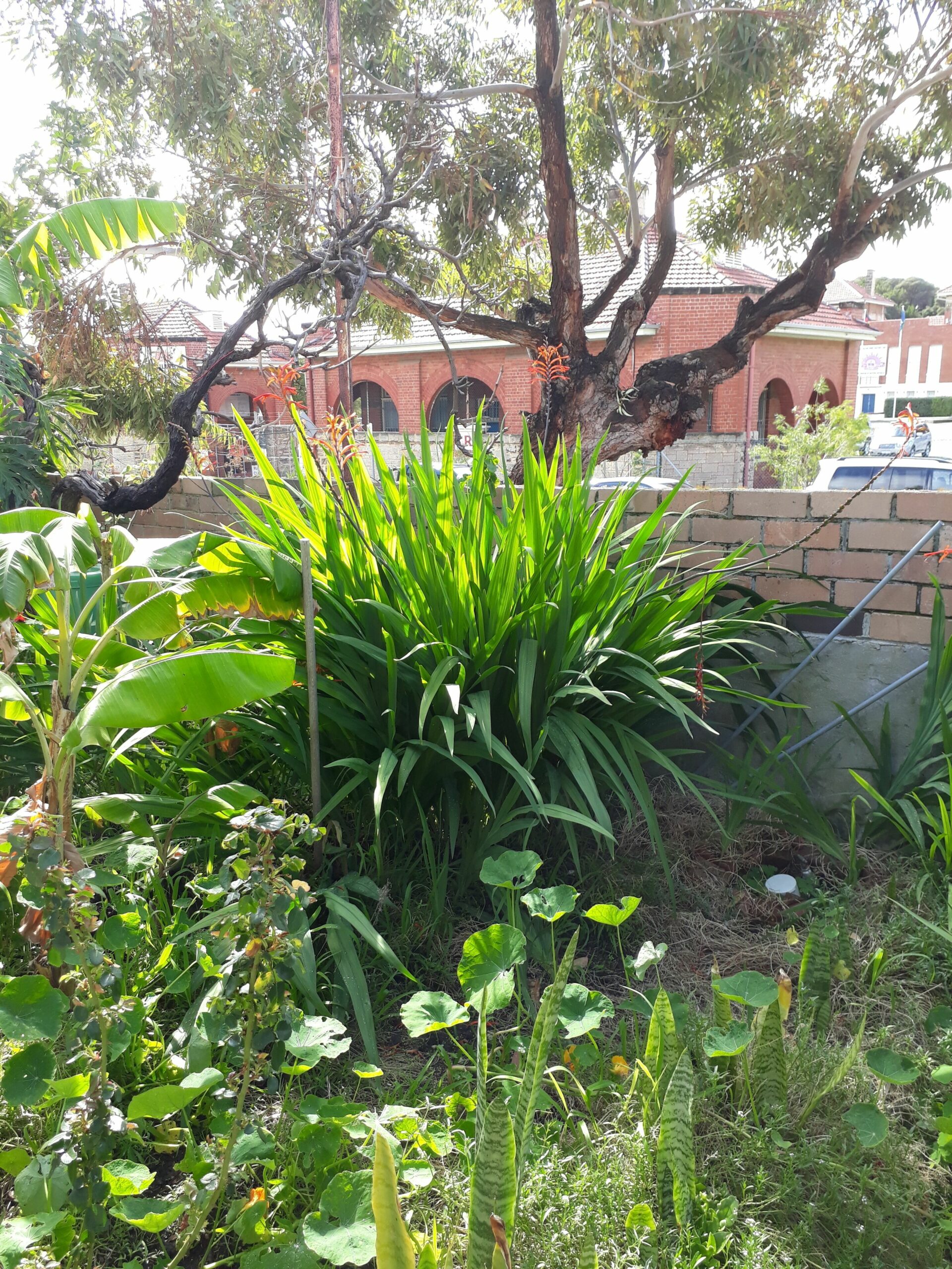 Heritage on Burt - Fremantle Arts Centre Location