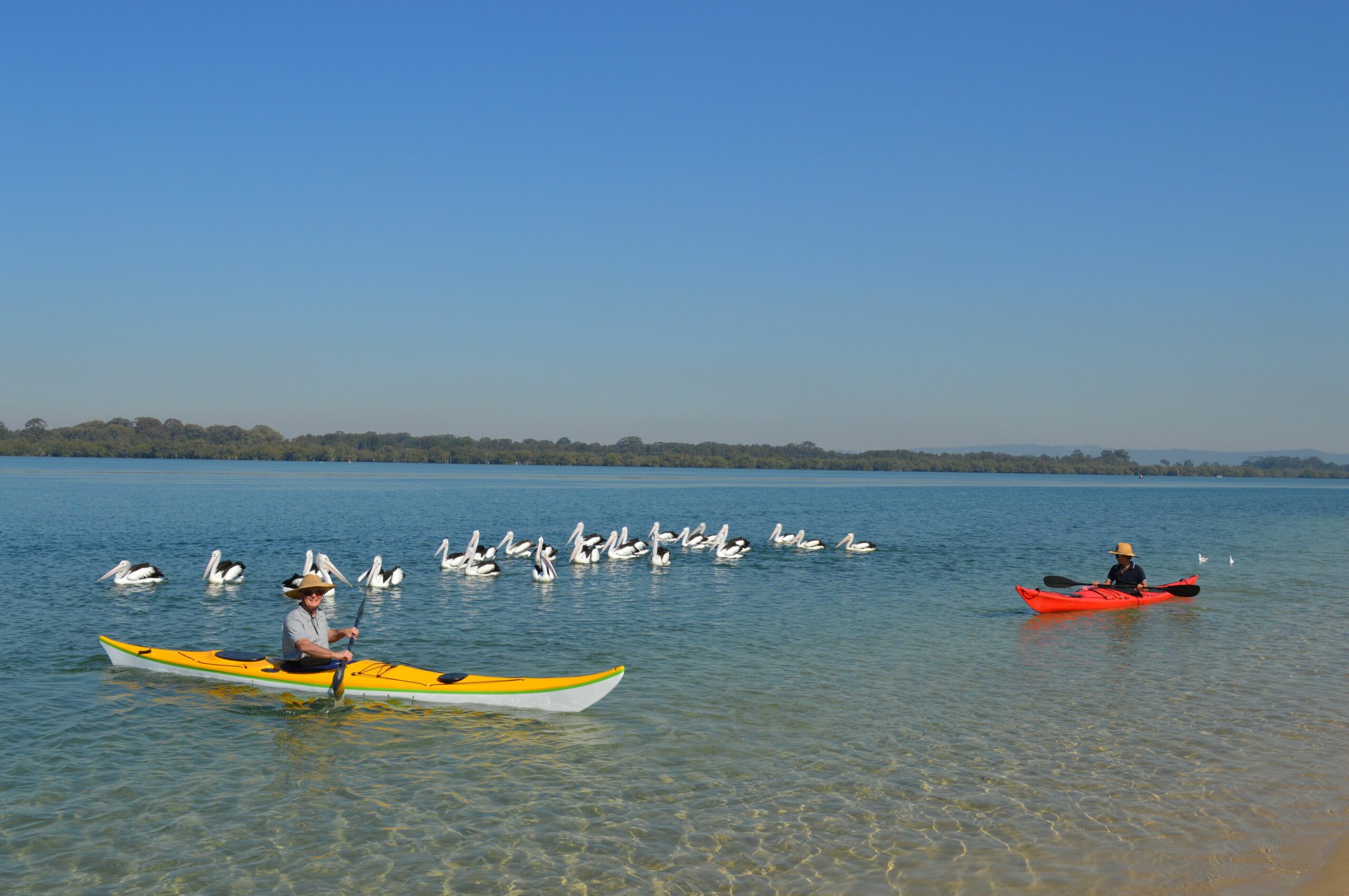 Ballina Murray Cottage / Pet Friendly / Accessible