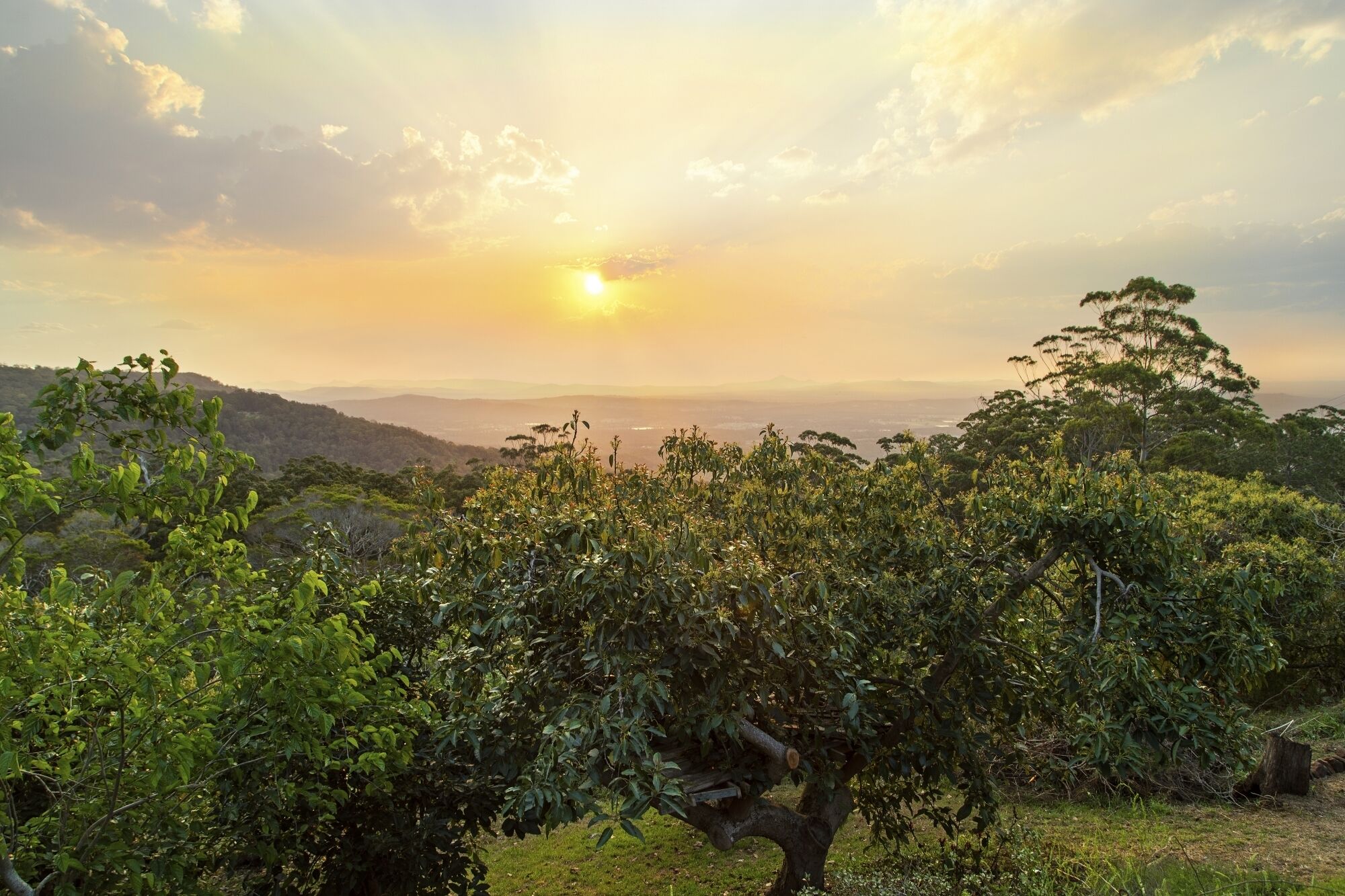 The Bird House. Spectacular sunsets. Perfect for large Groups