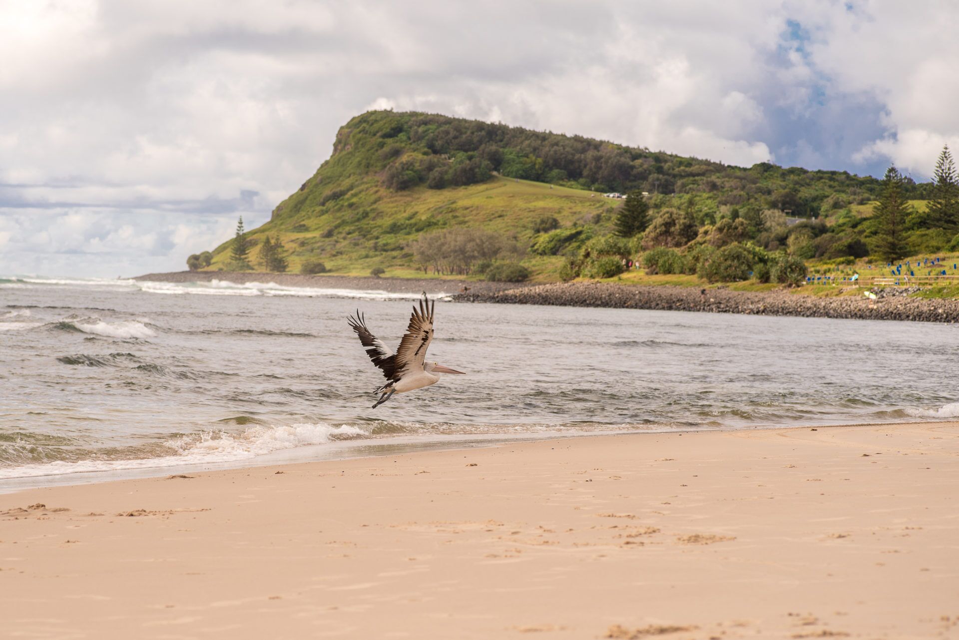 Seascape - Lennox Head