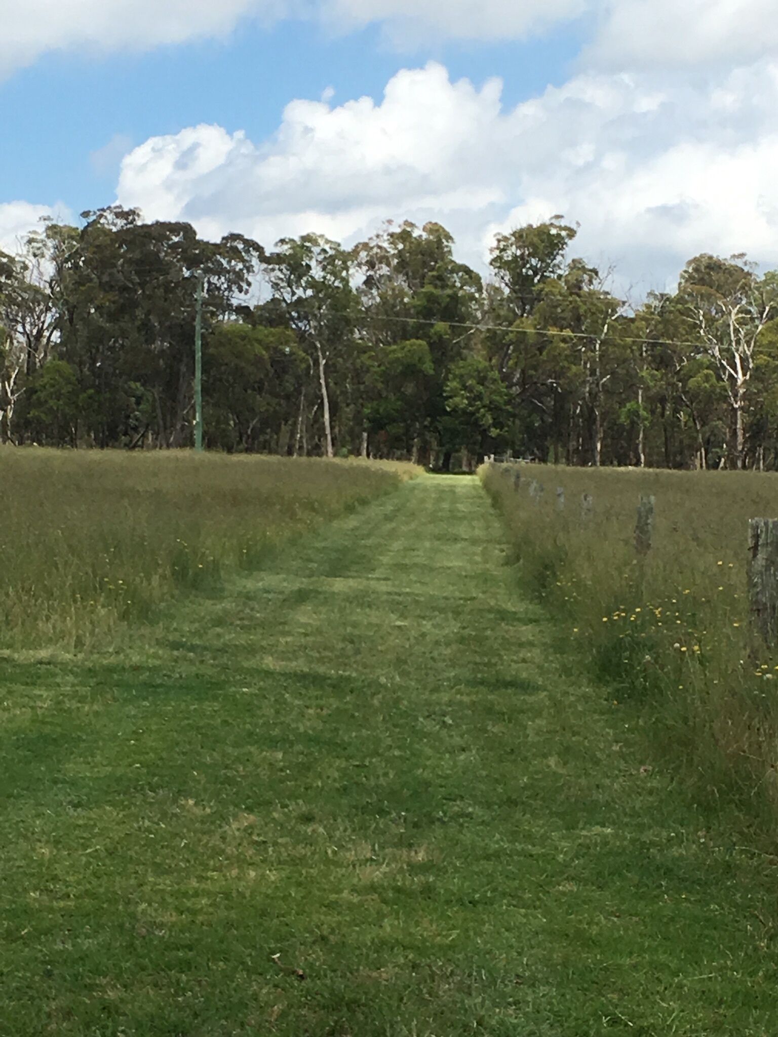 Serenity on Stanthorpe